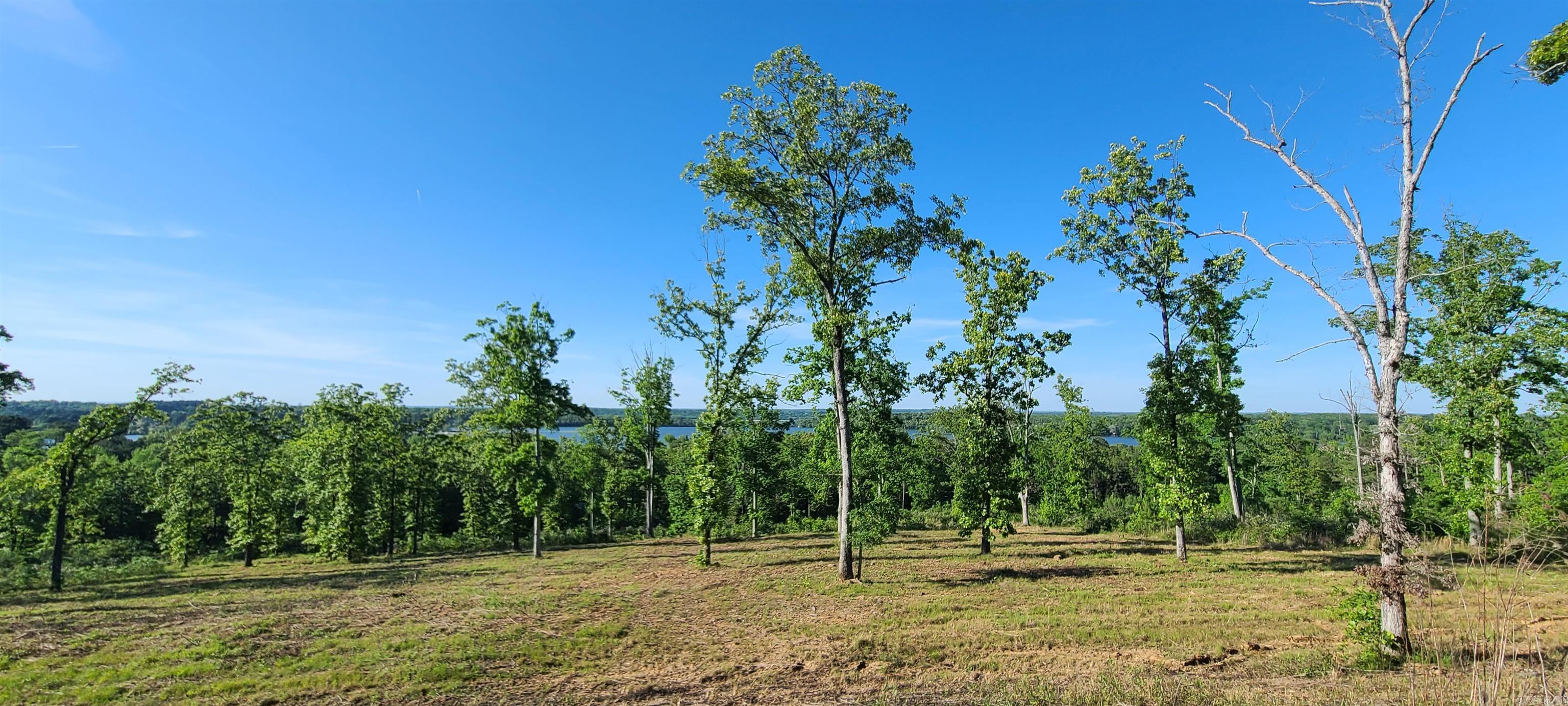 230 Waterview Drive  Conway, AR