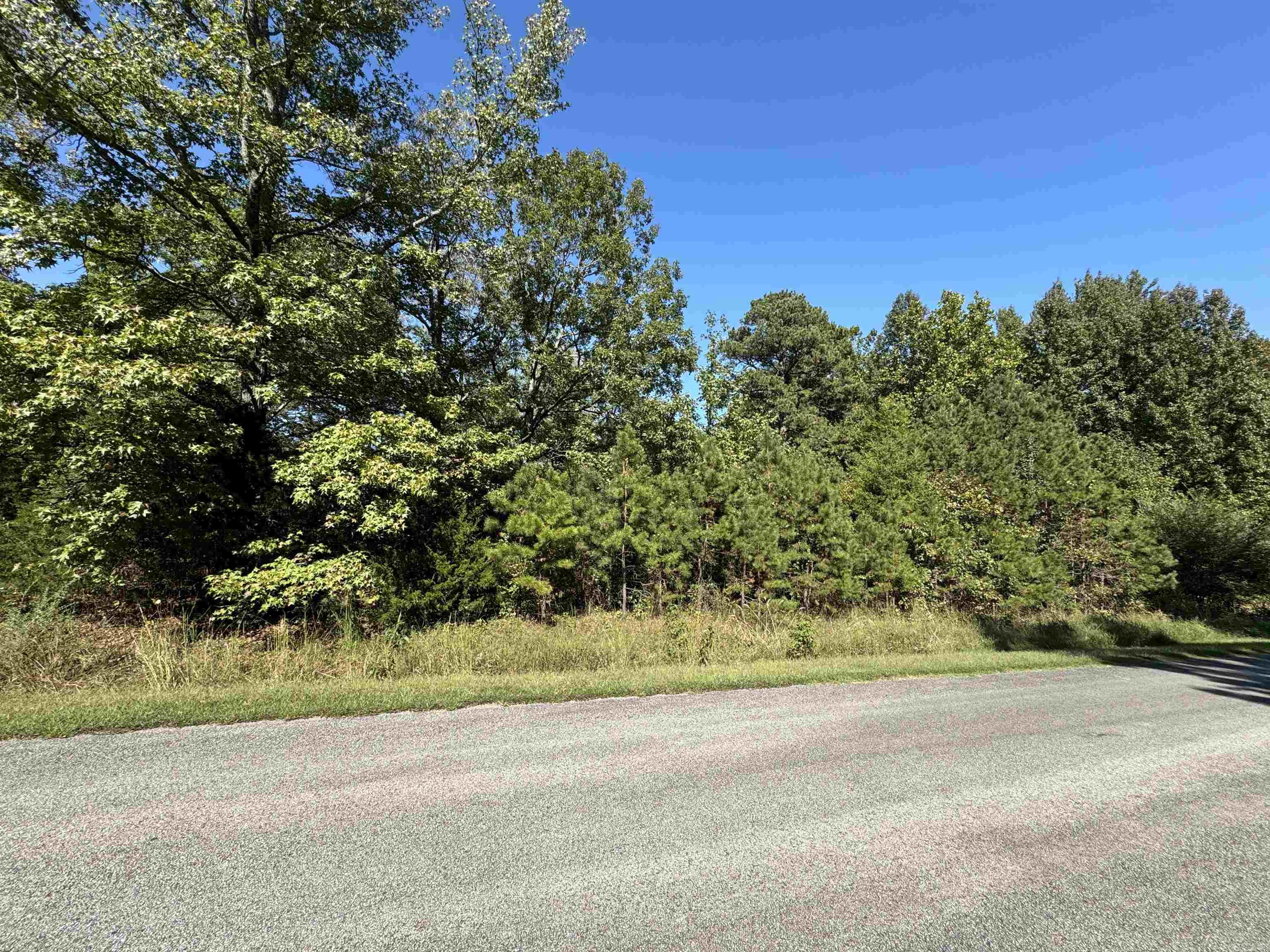 Lot 46 E Plantation  Heber Springs, AR