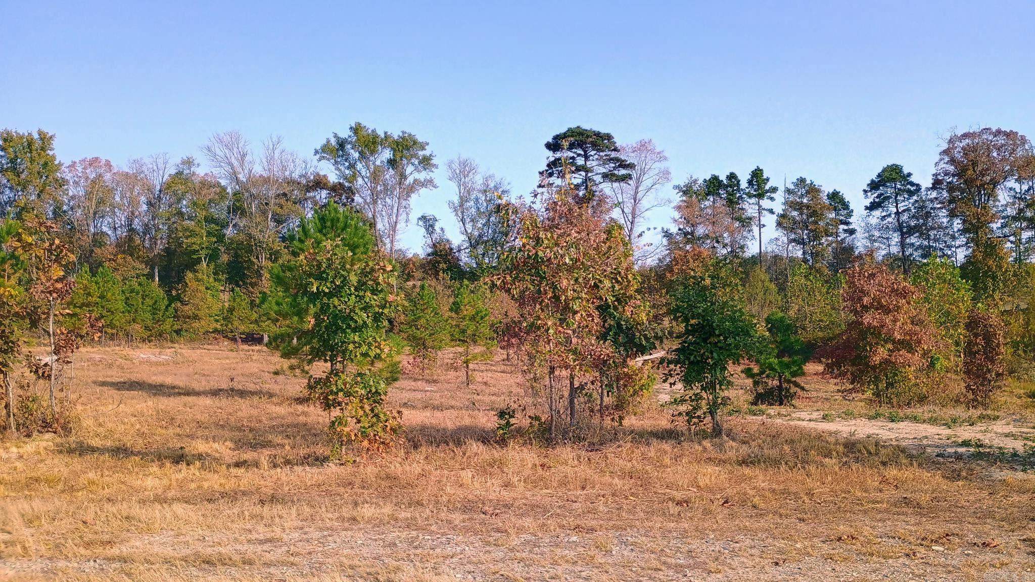 Lot 3 Many Fish Tr.  Hot Springs, AR