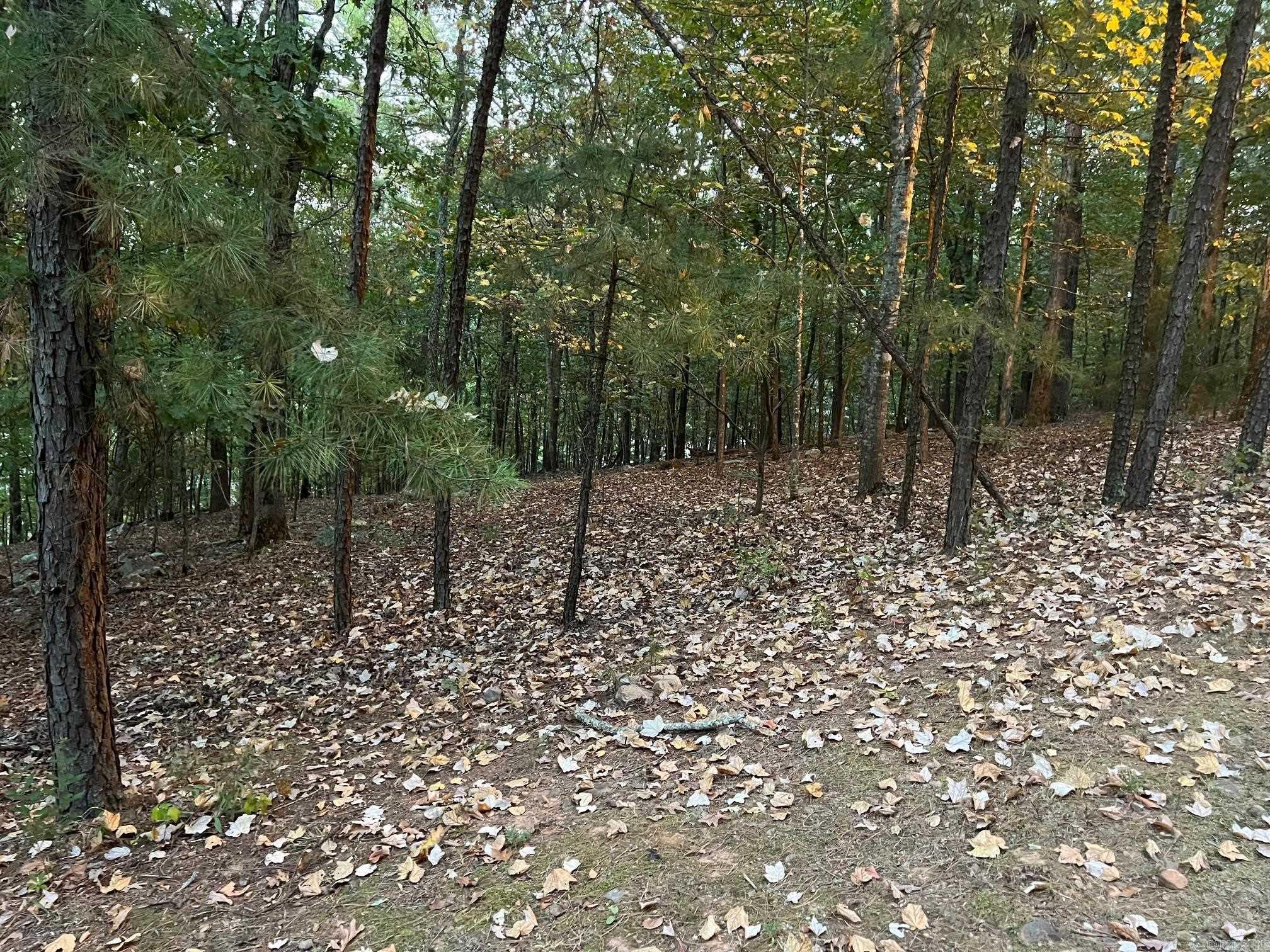 11 Mountain View Court — photo 2