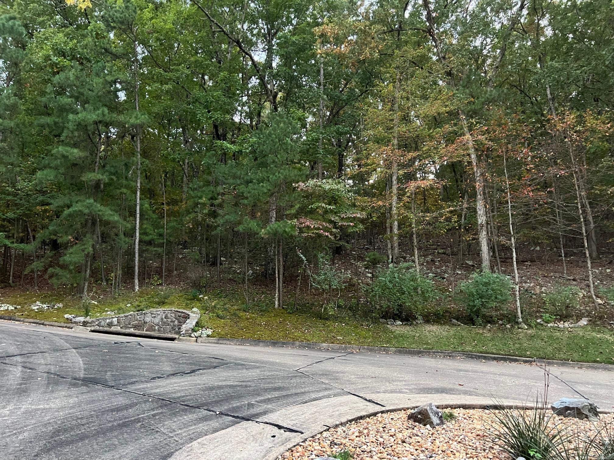 11 Mountain View Court — photo 3