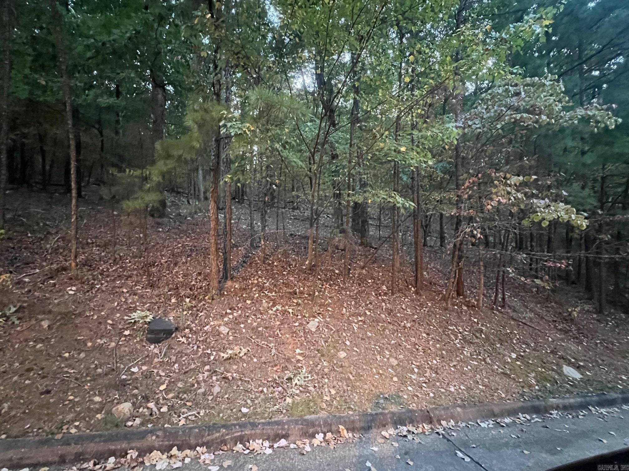 11 Mountain View Court — photo 5
