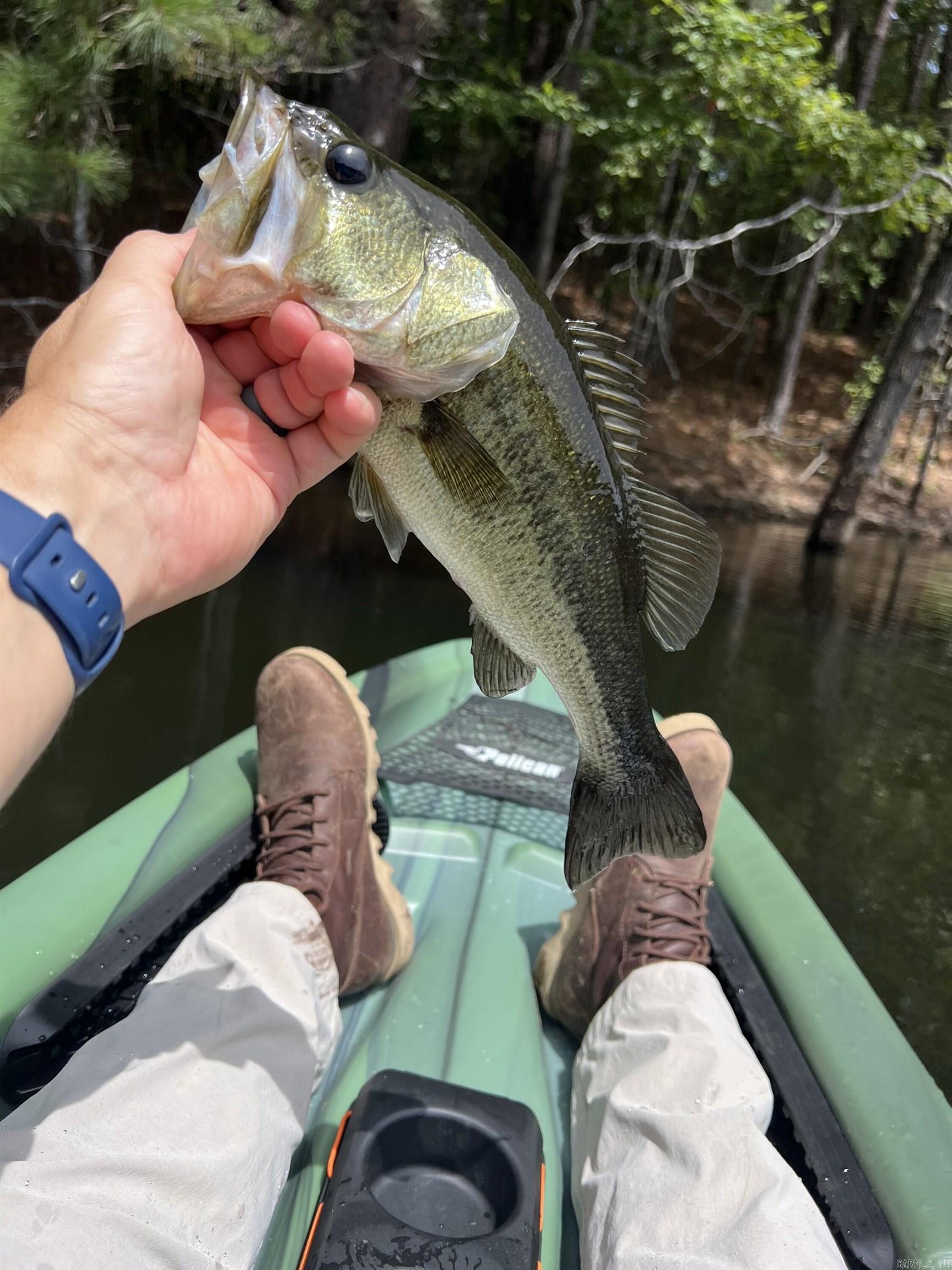 14524 Lawson  Little Rock, AR