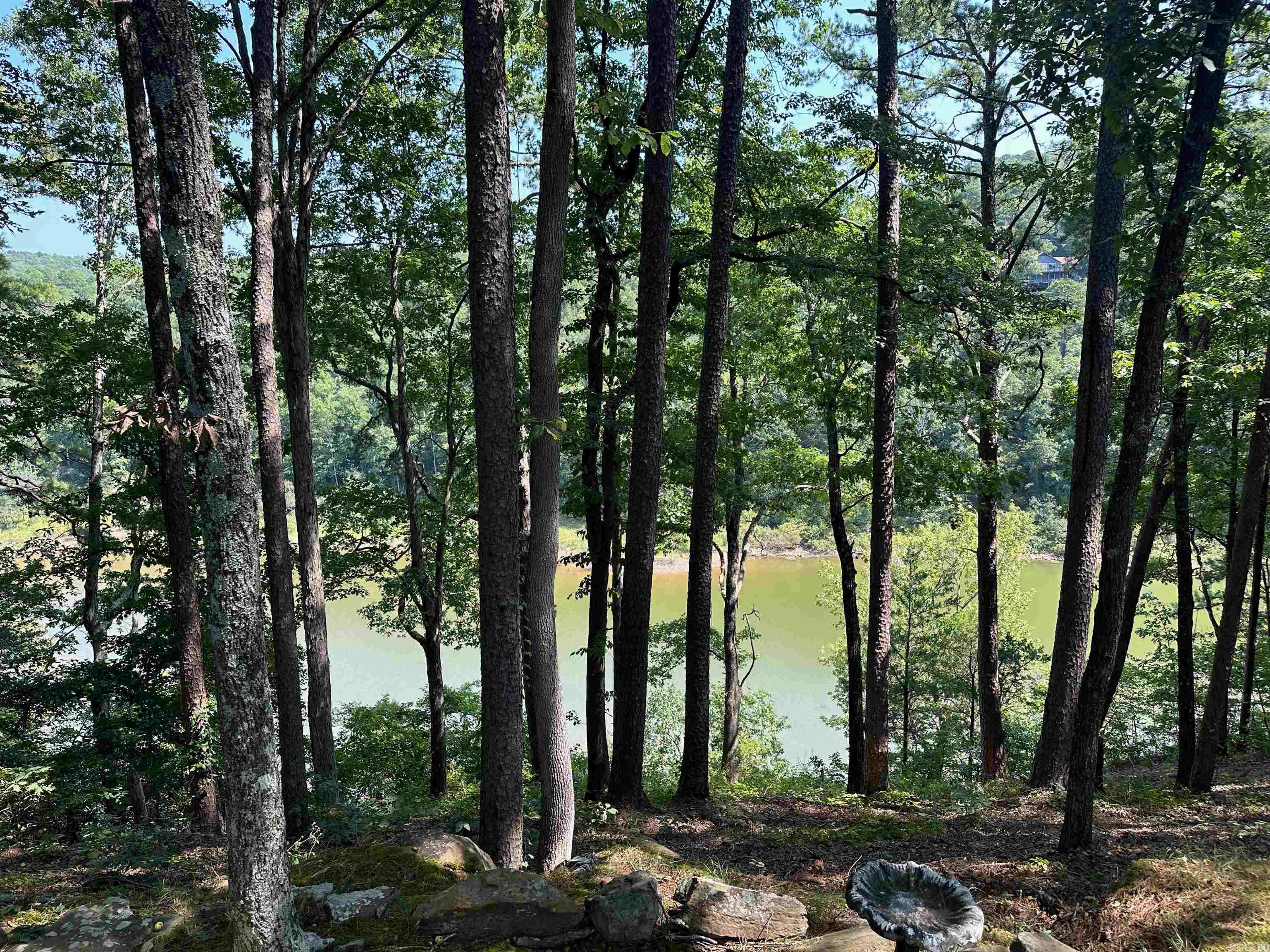 115 Meadowcliff  Fairfield Bay, AR