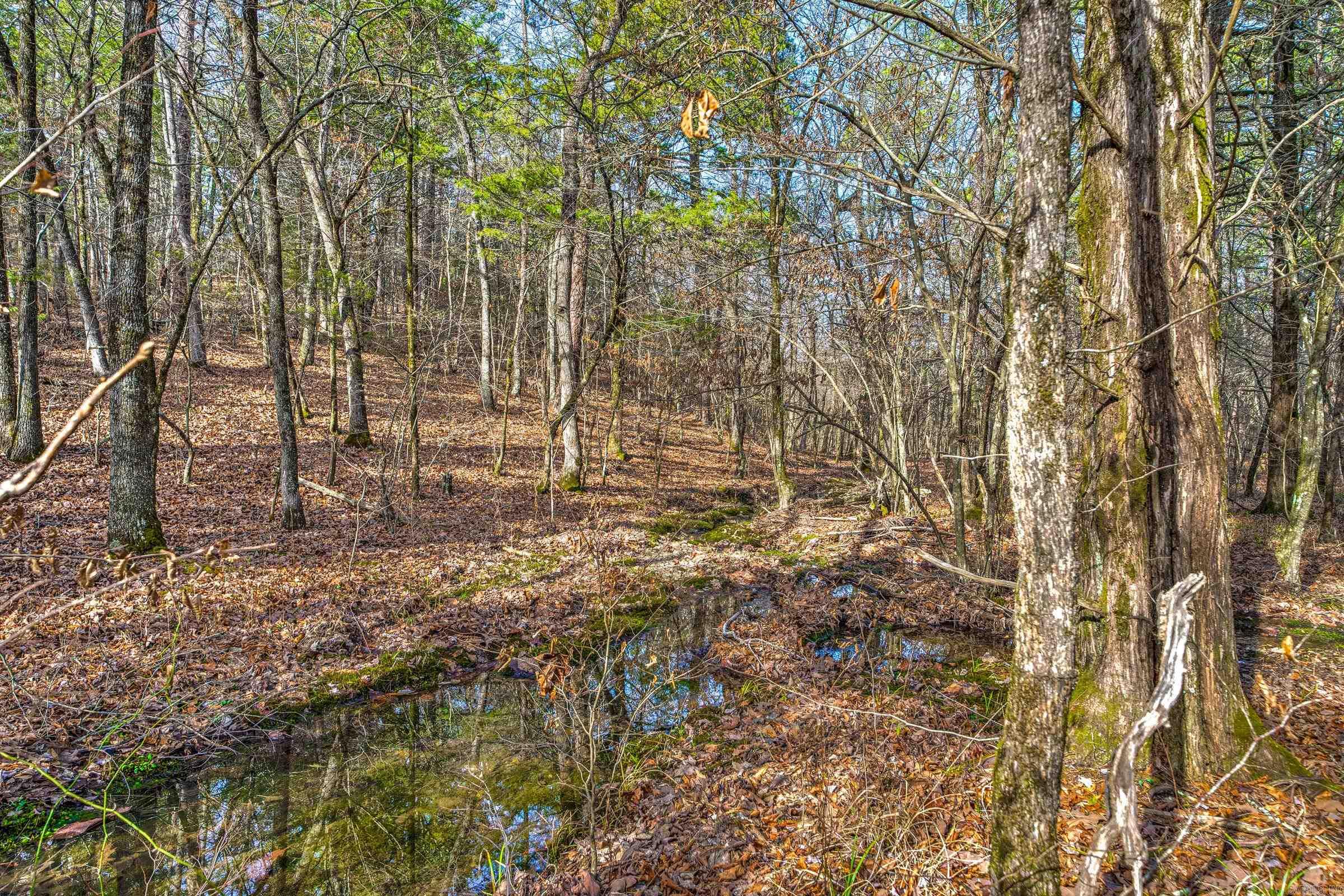 143 SUNNY DAY LN  Mena, AR