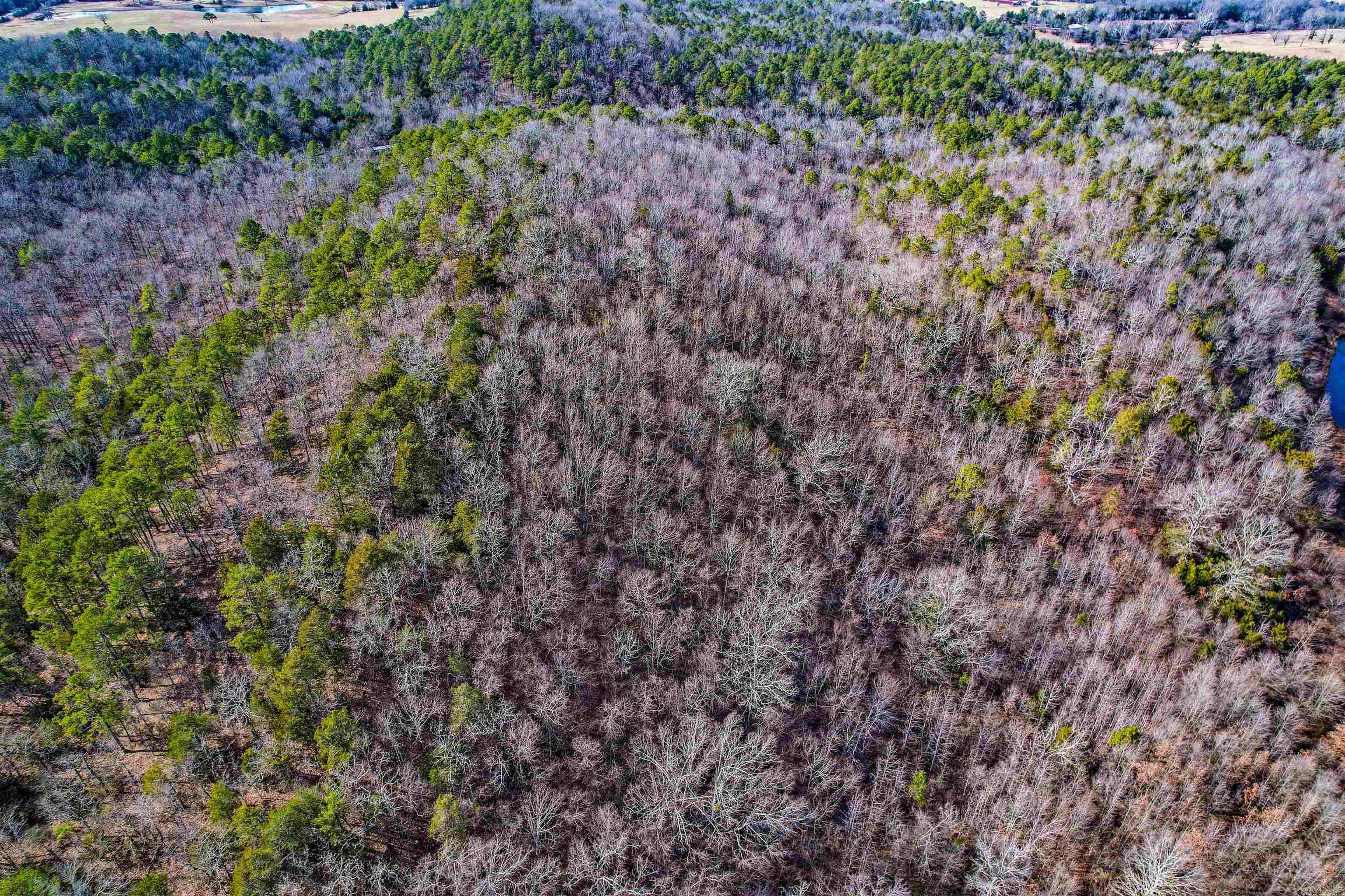 143 SUNNY DAY LN  Mena, AR