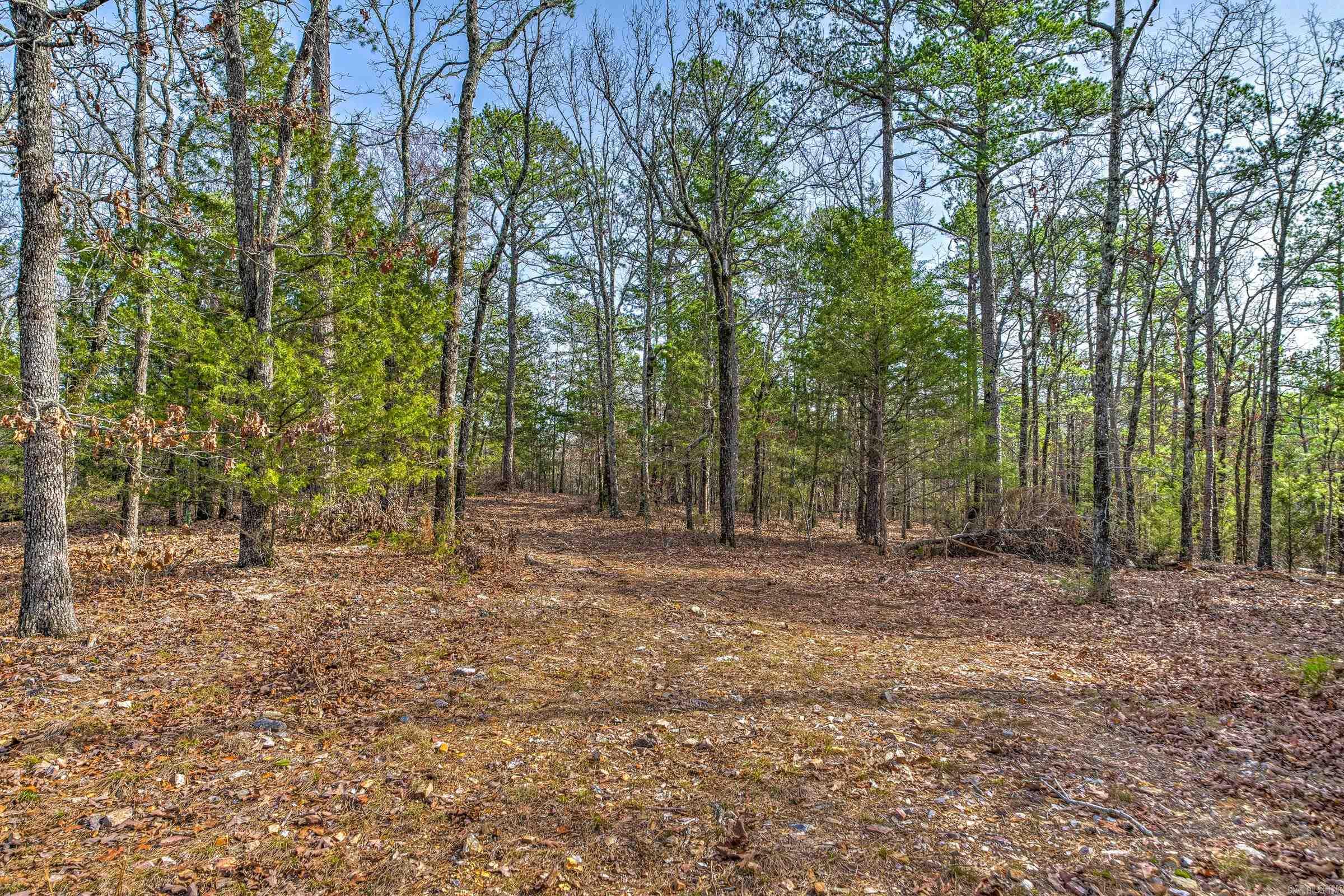 143 SUNNY DAY LN  Mena, AR