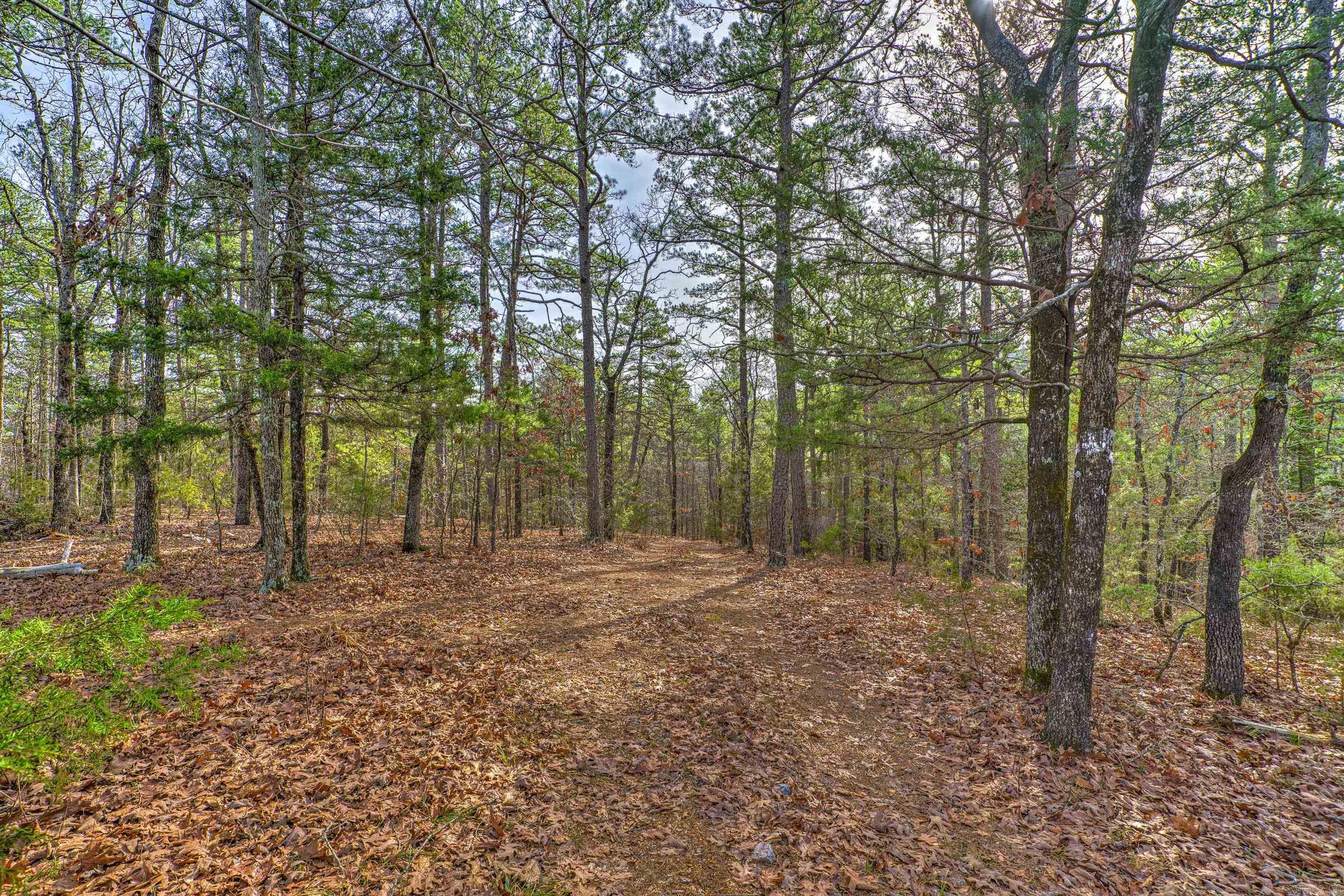 143 SUNNY DAY LN  Mena, AR