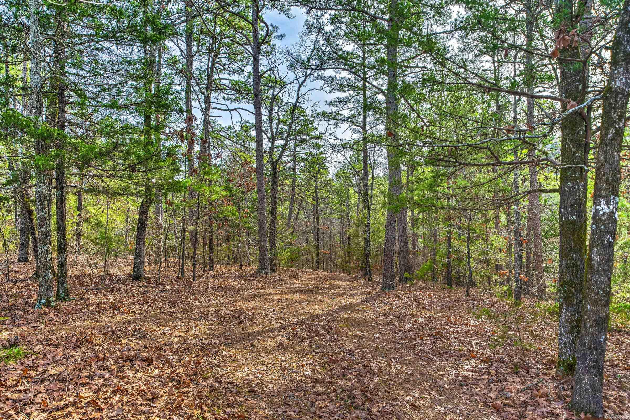 143 SUNNY DAY LN  Mena, AR
