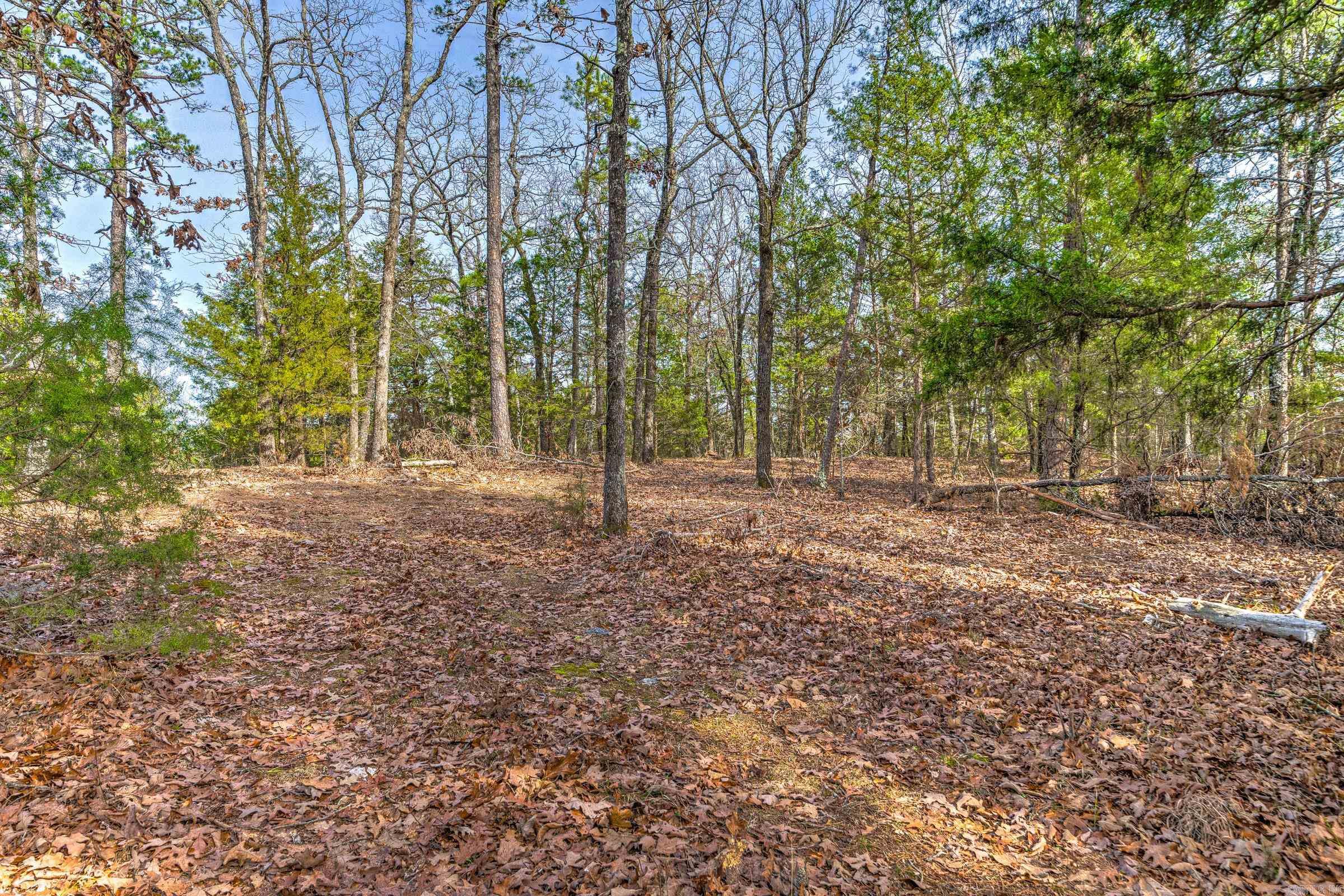 143 SUNNY DAY LN  Mena, AR
