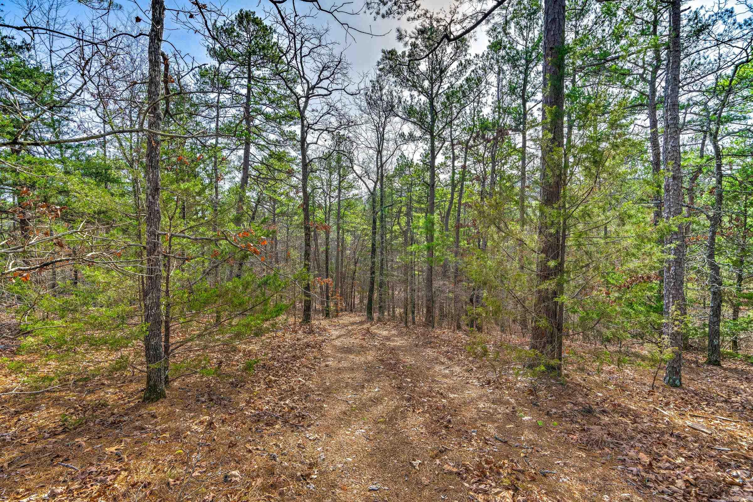 143 SUNNY DAY LN  Mena, AR