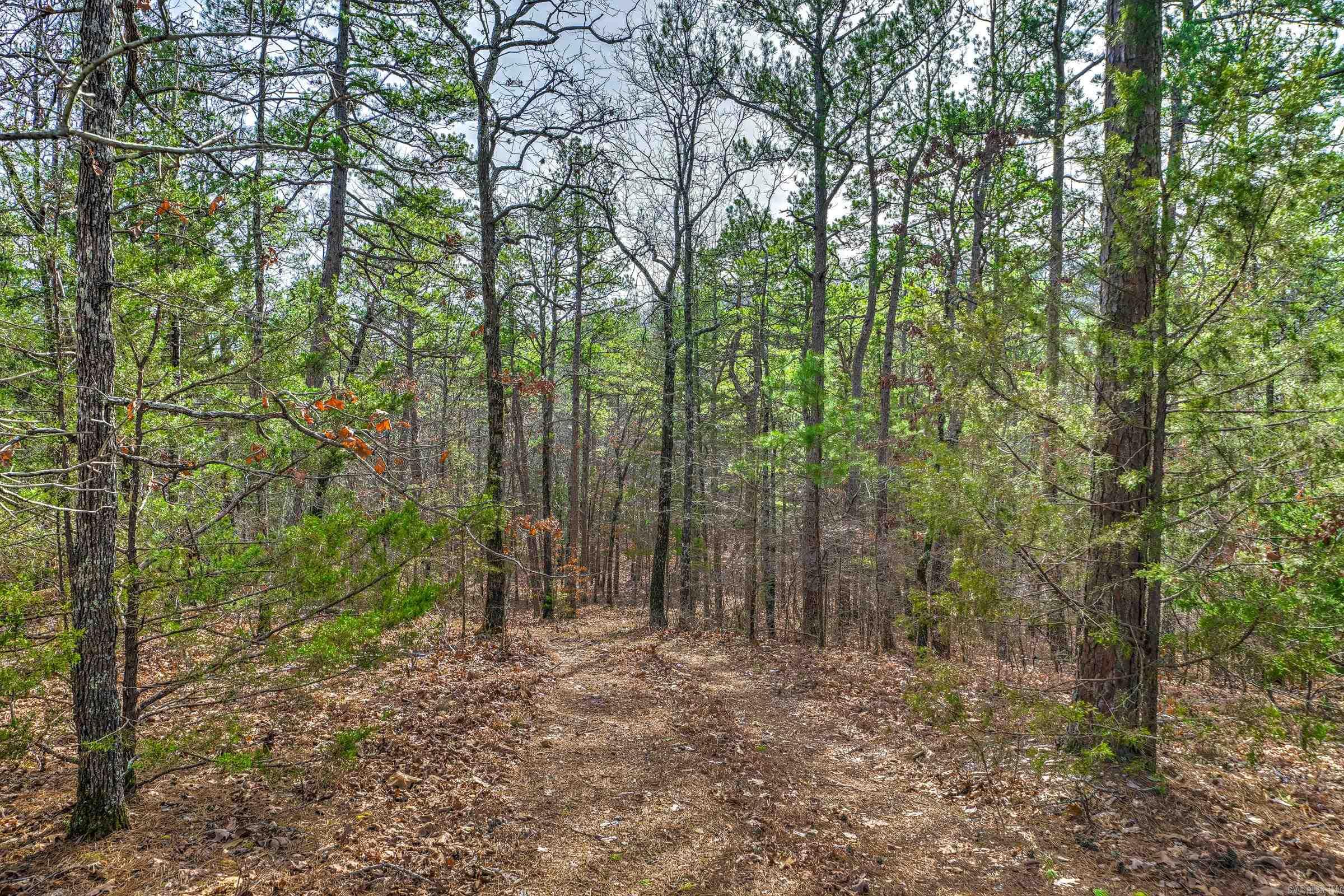 143 SUNNY DAY LN  Mena, AR
