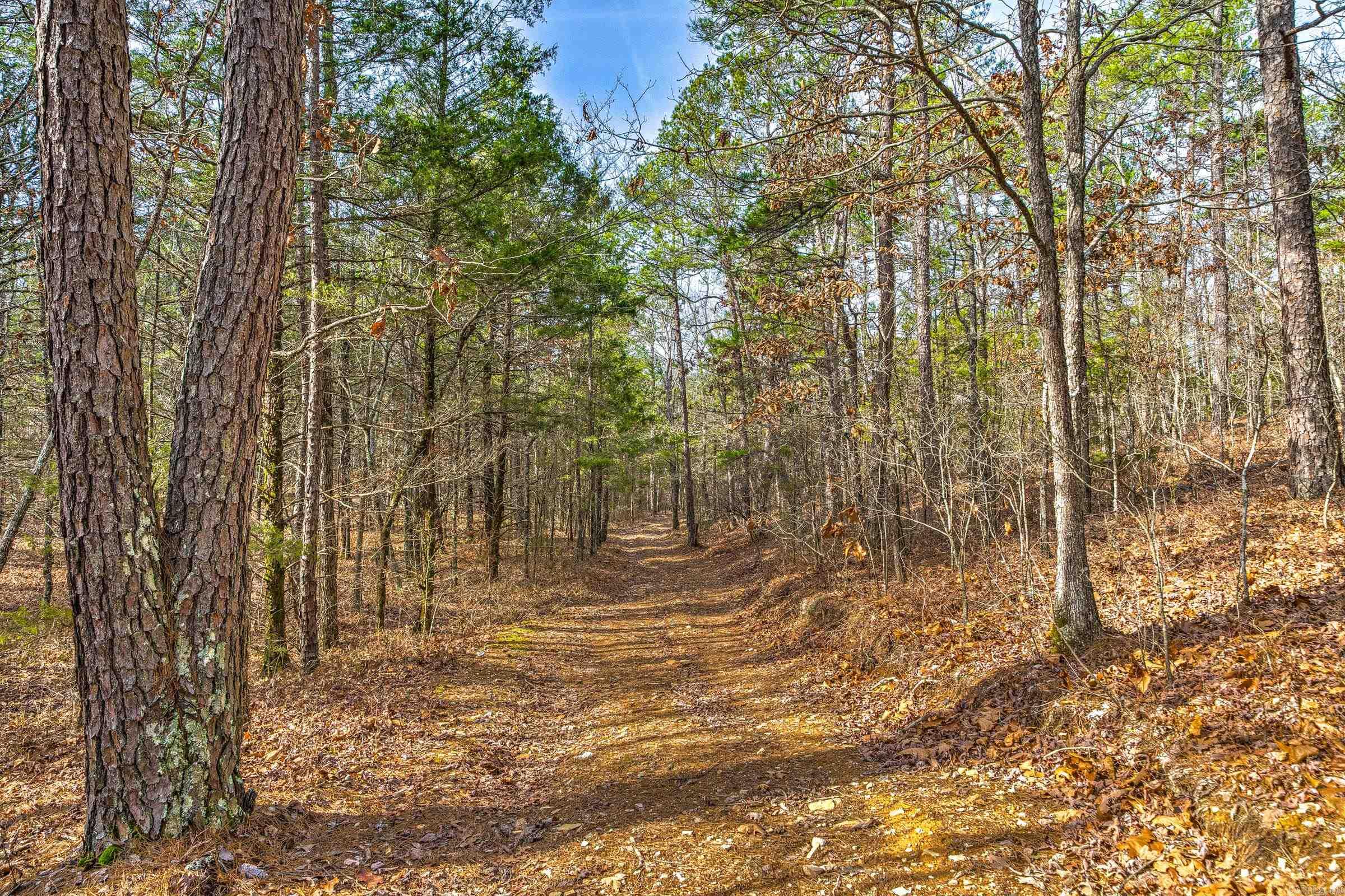 143 SUNNY DAY LN  Mena, AR