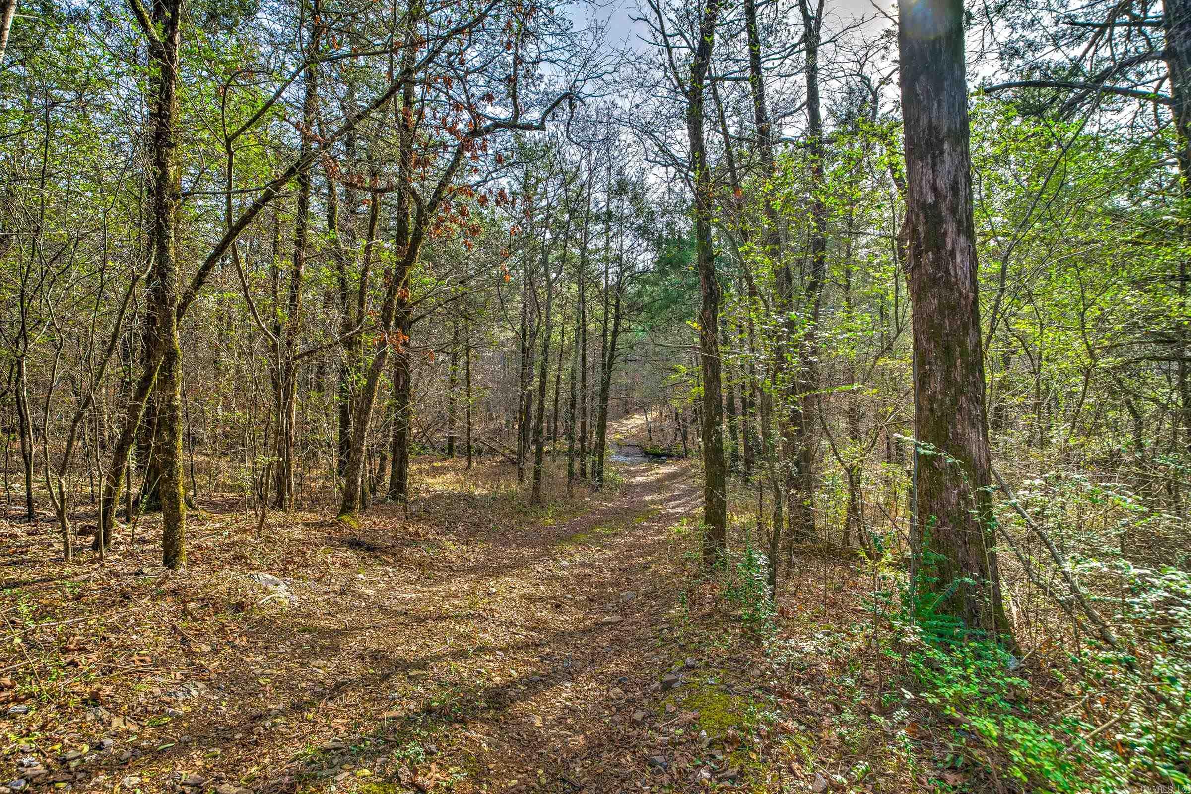 143 SUNNY DAY LN  Mena, AR