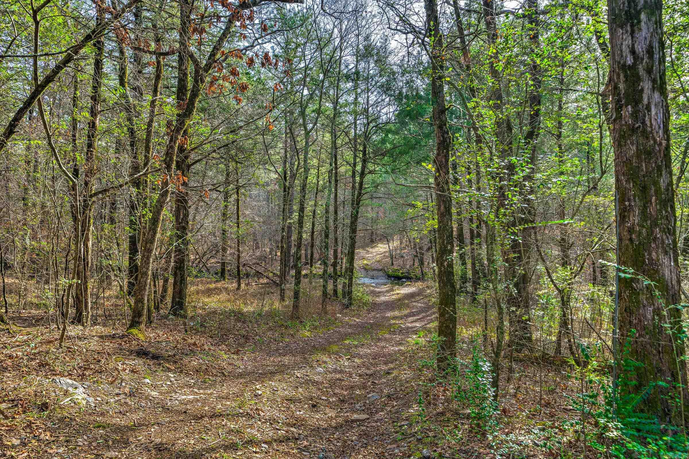 143 SUNNY DAY LN  Mena, AR
