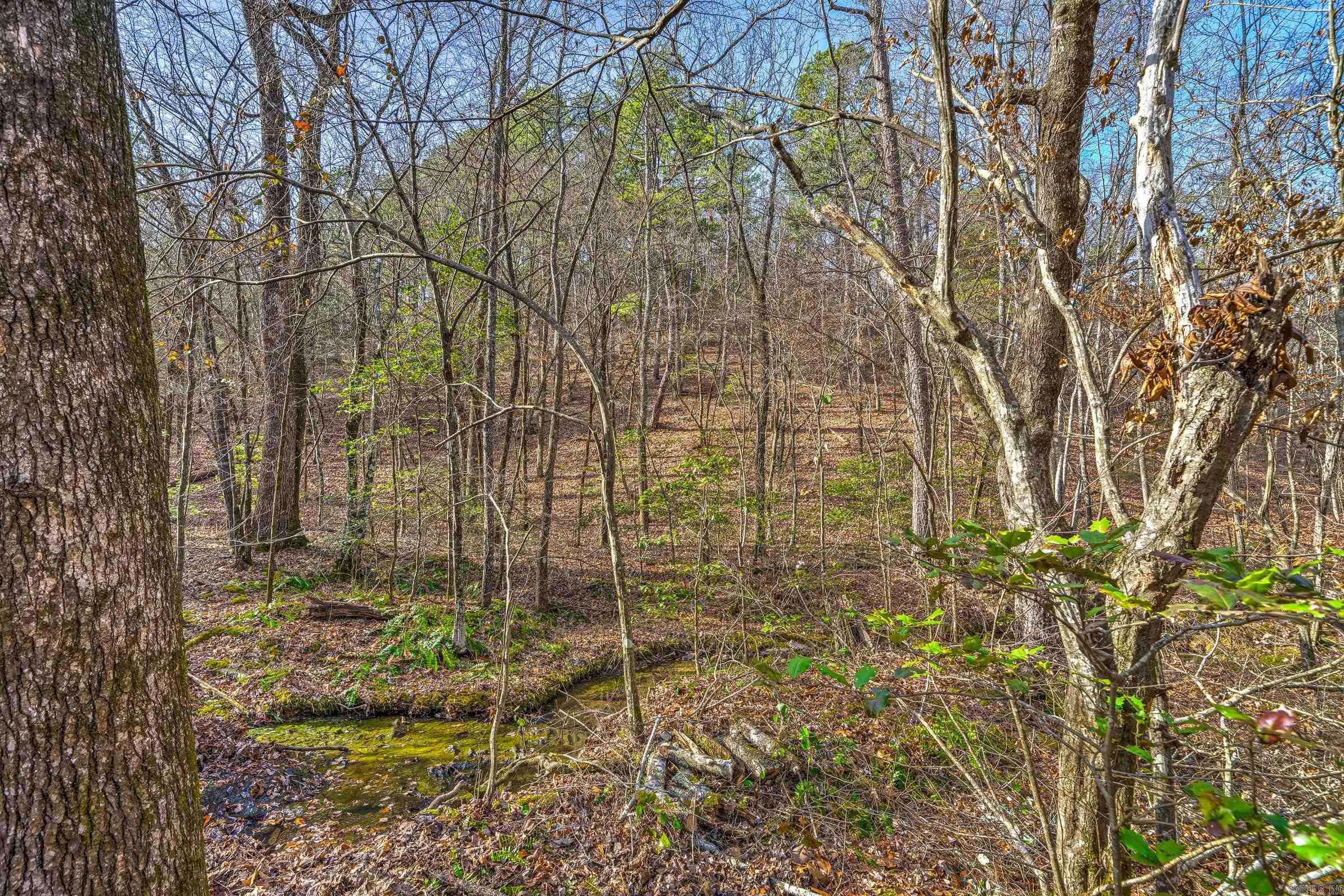 143 SUNNY DAY LN  Mena, AR