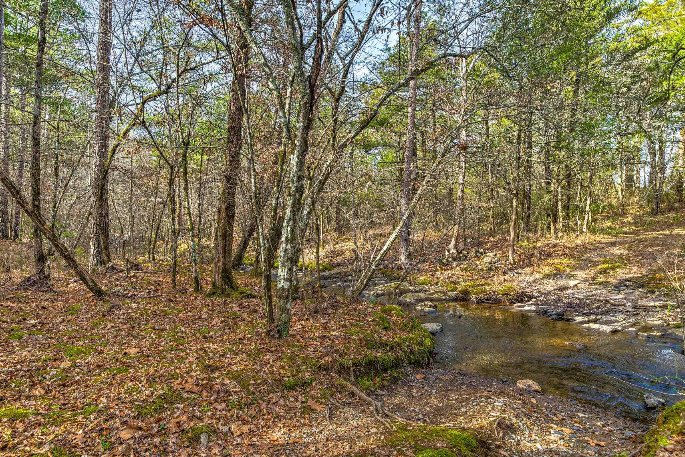 143 SUNNY DAY LN  Mena, AR