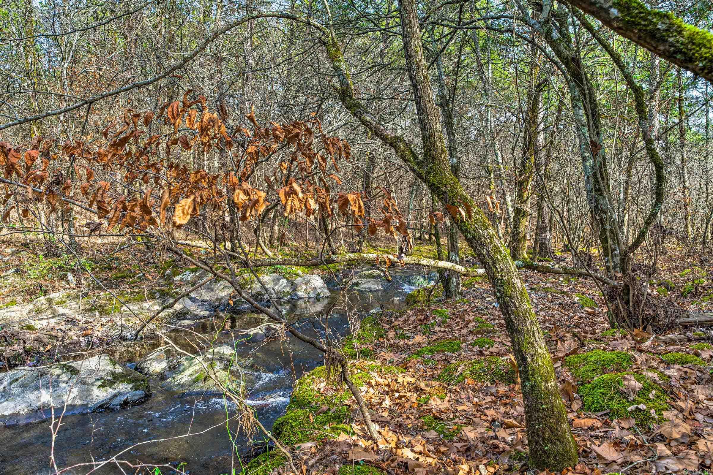 143 SUNNY DAY LN  Mena, AR
