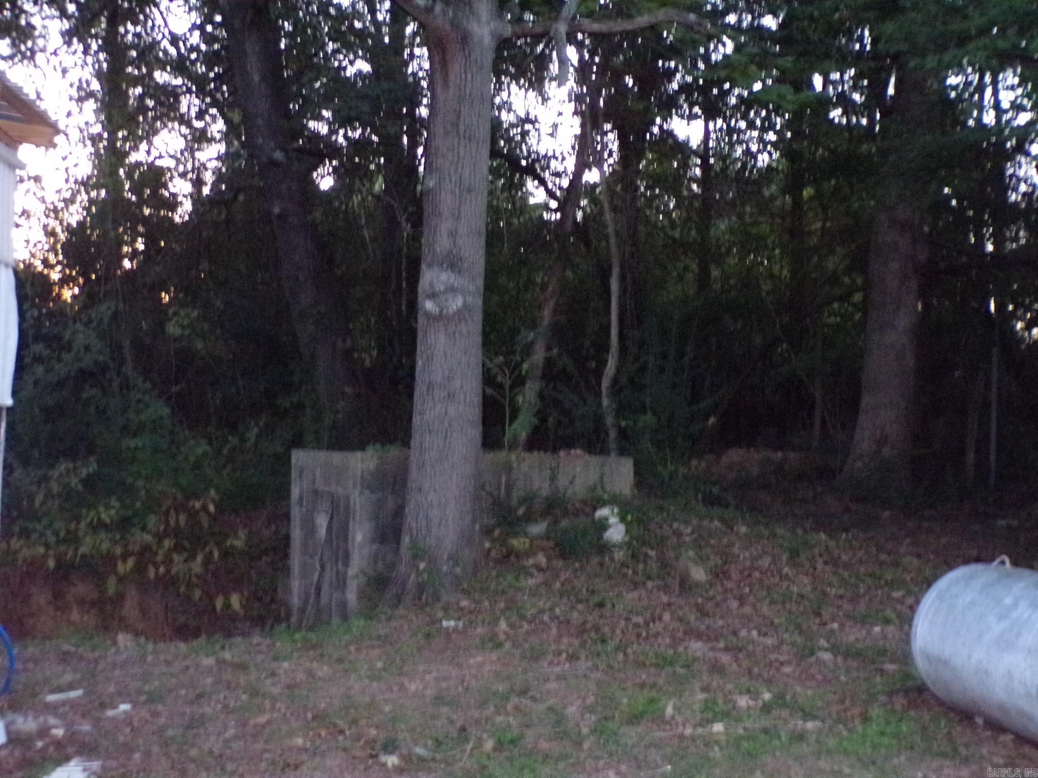 606 Alamo Drive Mountain View, AR 72560