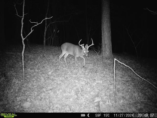 2341 Still Hollow Trail  Little Rock, AR