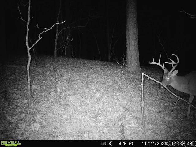 2341 Still Hollow Trail  Little Rock, AR