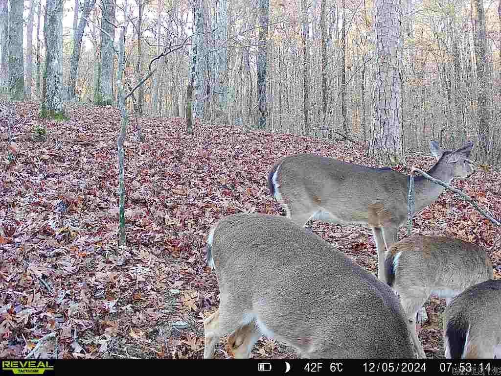 2341 Still Hollow Trail  Little Rock, AR