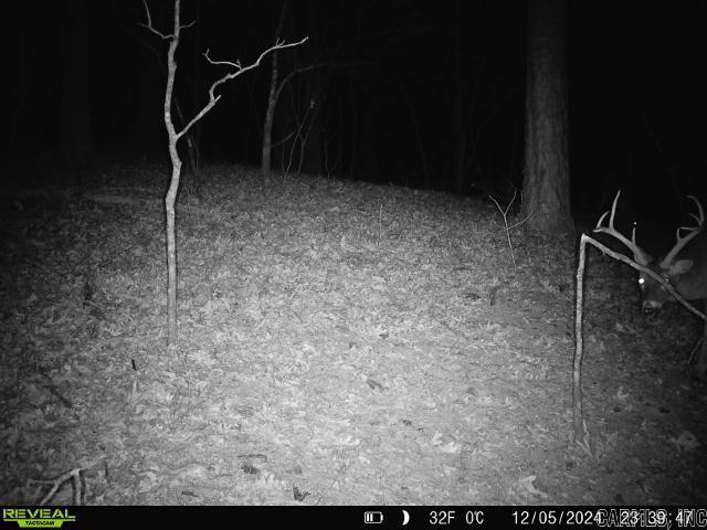 2341 Still Hollow Trail  Little Rock, AR