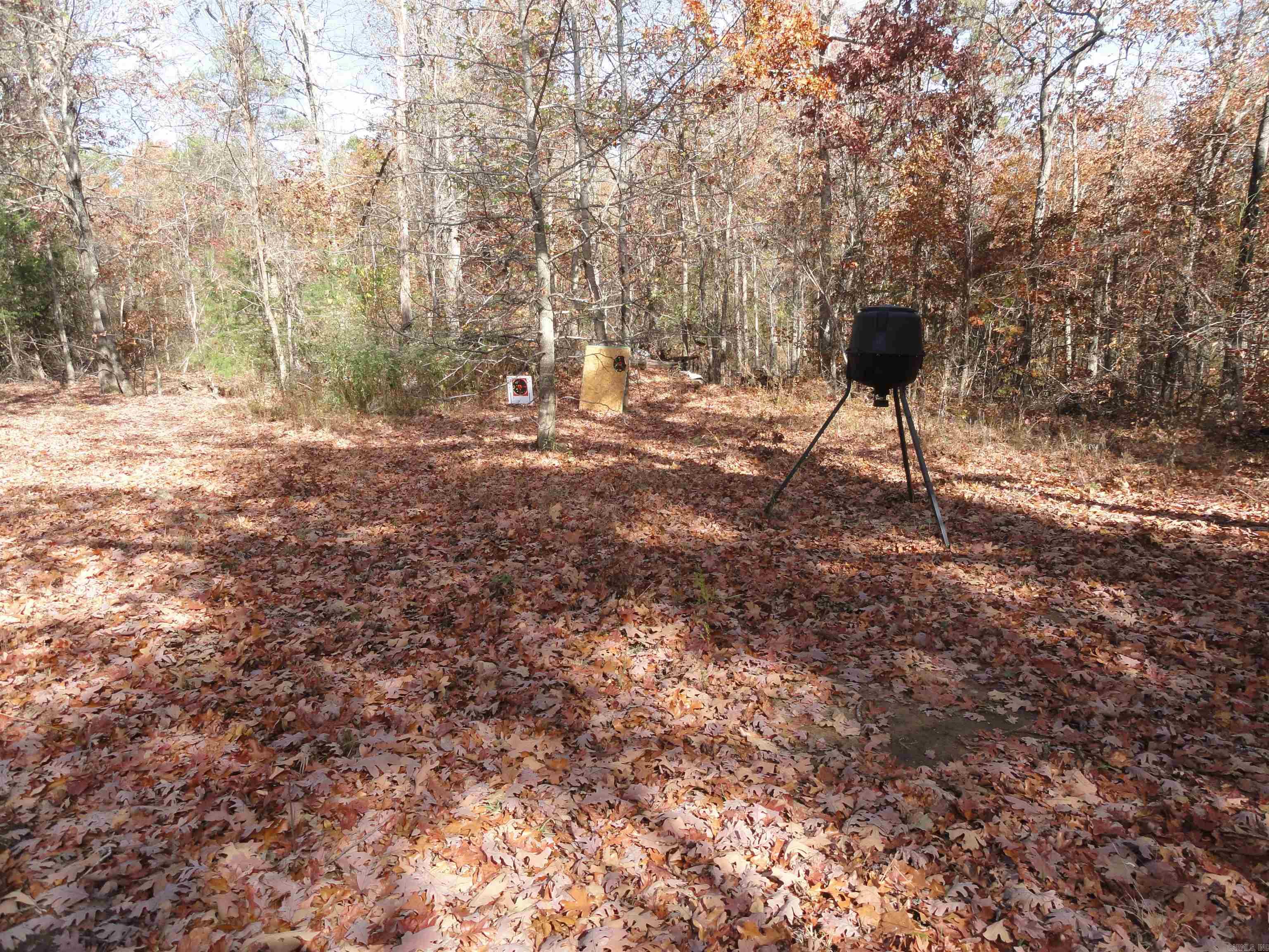 305 Deer Run Drive Leslie, AR 72645