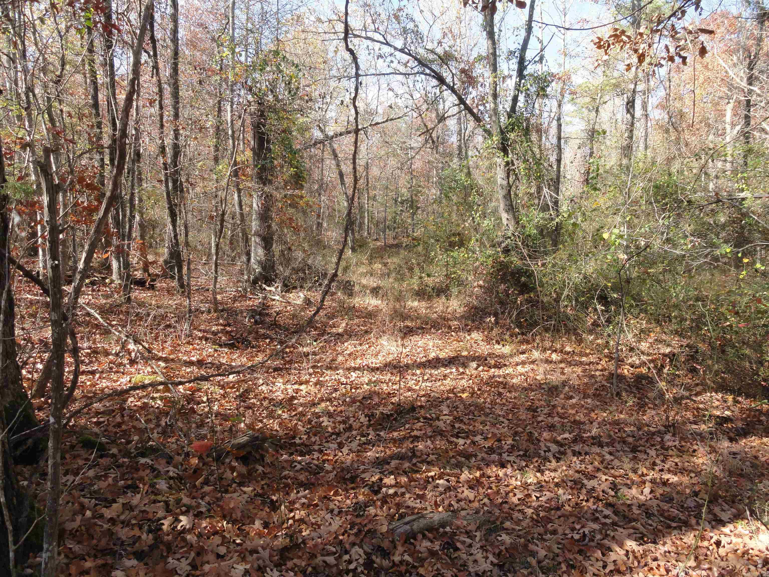 305 Deer Run Drive Leslie, AR 72645