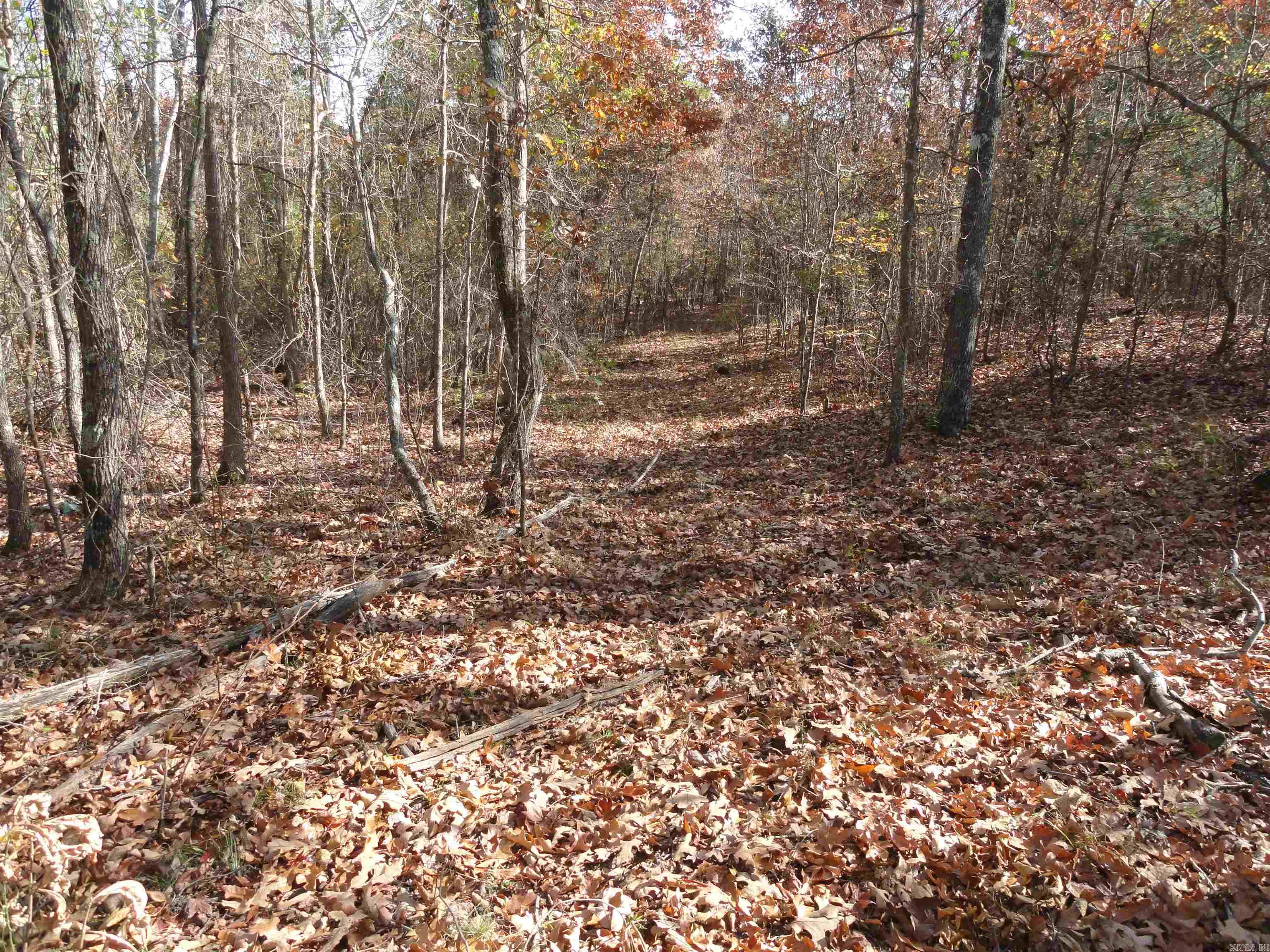 305 Deer Run Drive Leslie, AR 72645