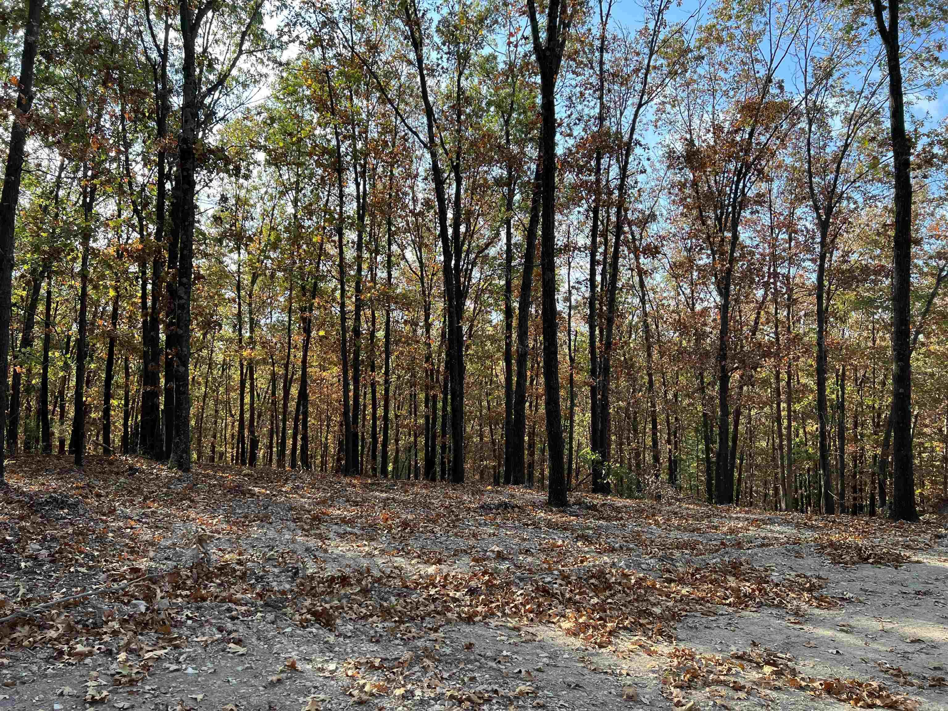 16.55 AC Jackson  Omaha, AR