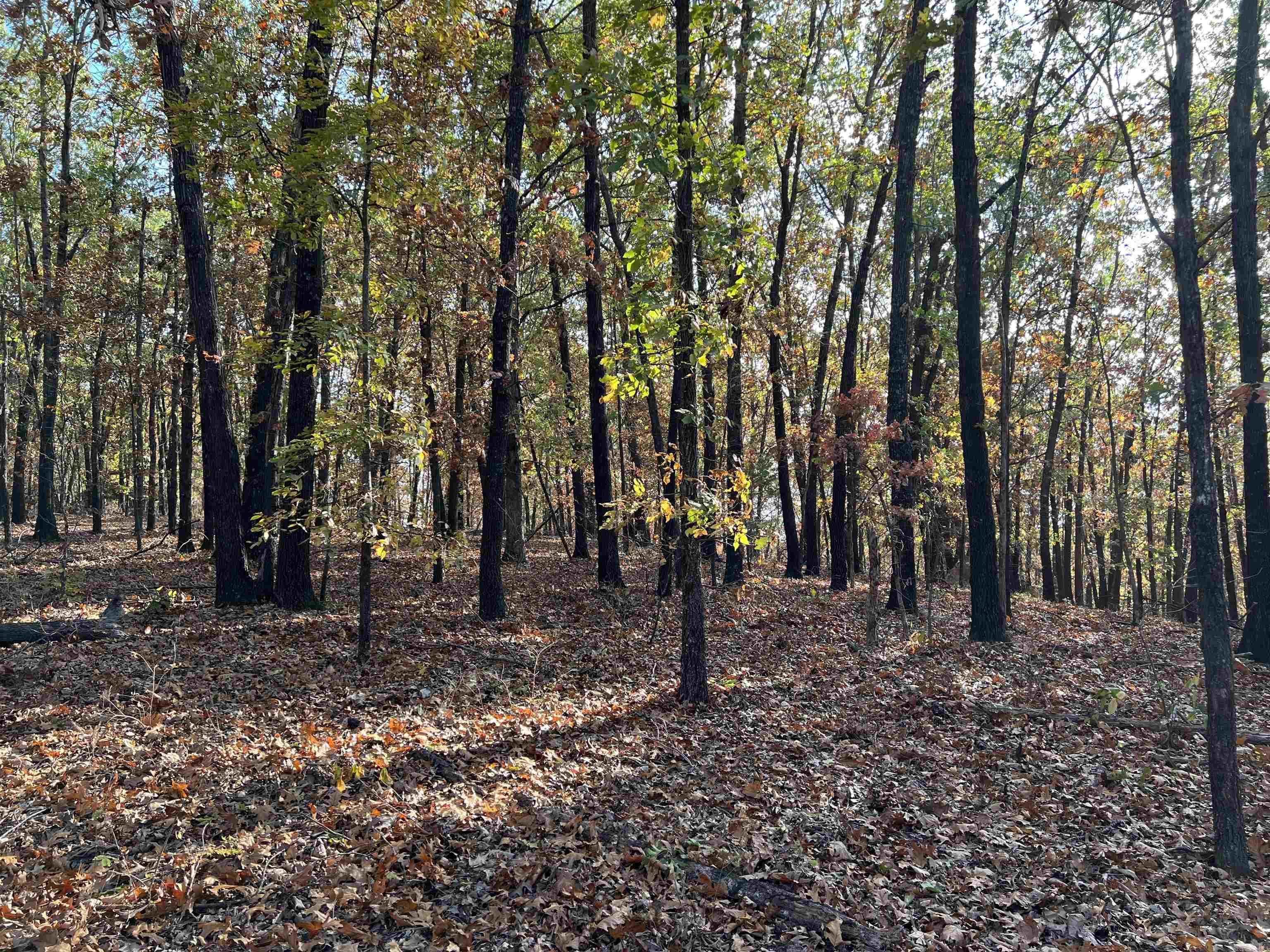 16.55 AC Jackson  Omaha, AR