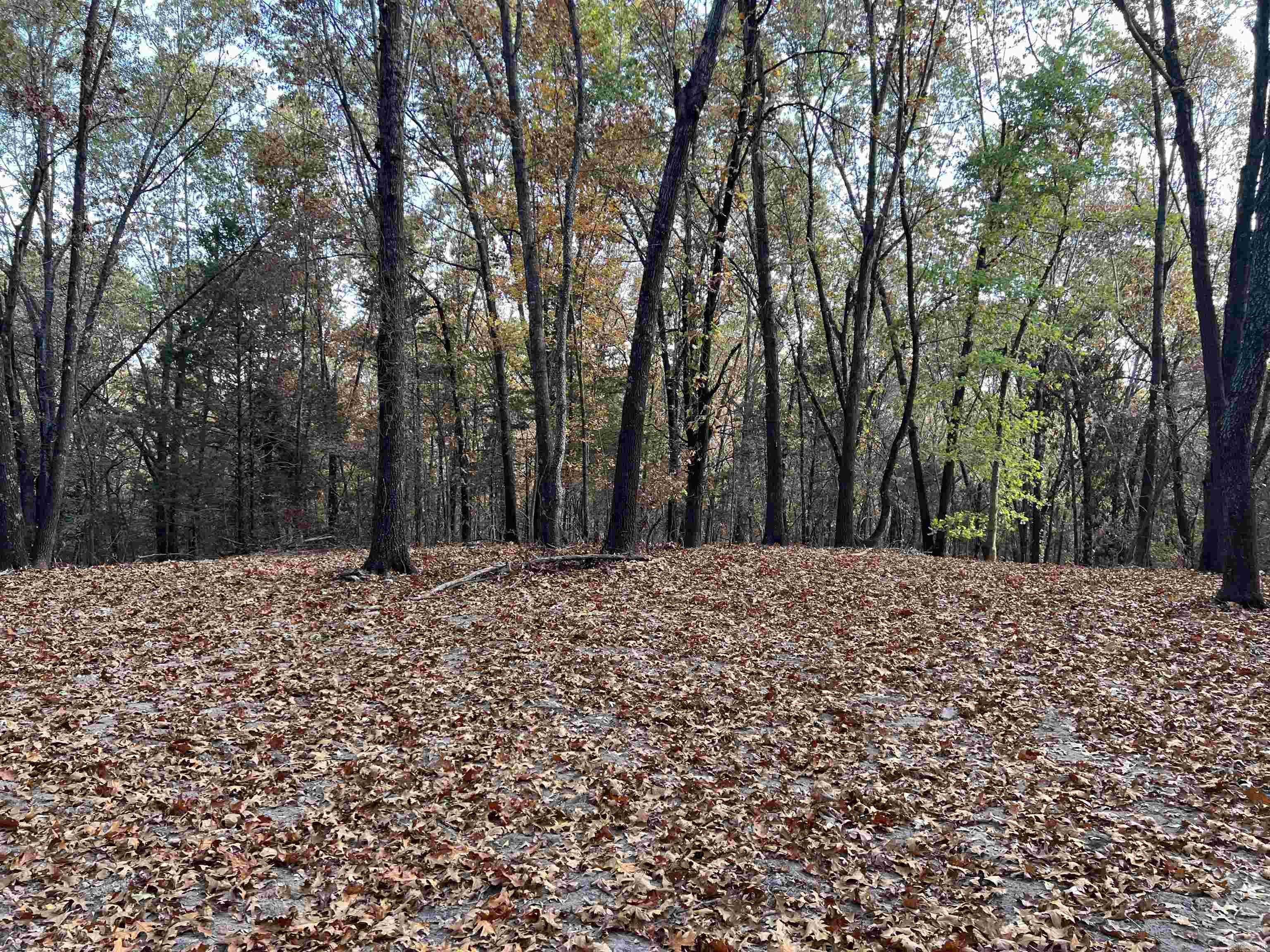 16.33 AC Jackson  Omaha, AR
