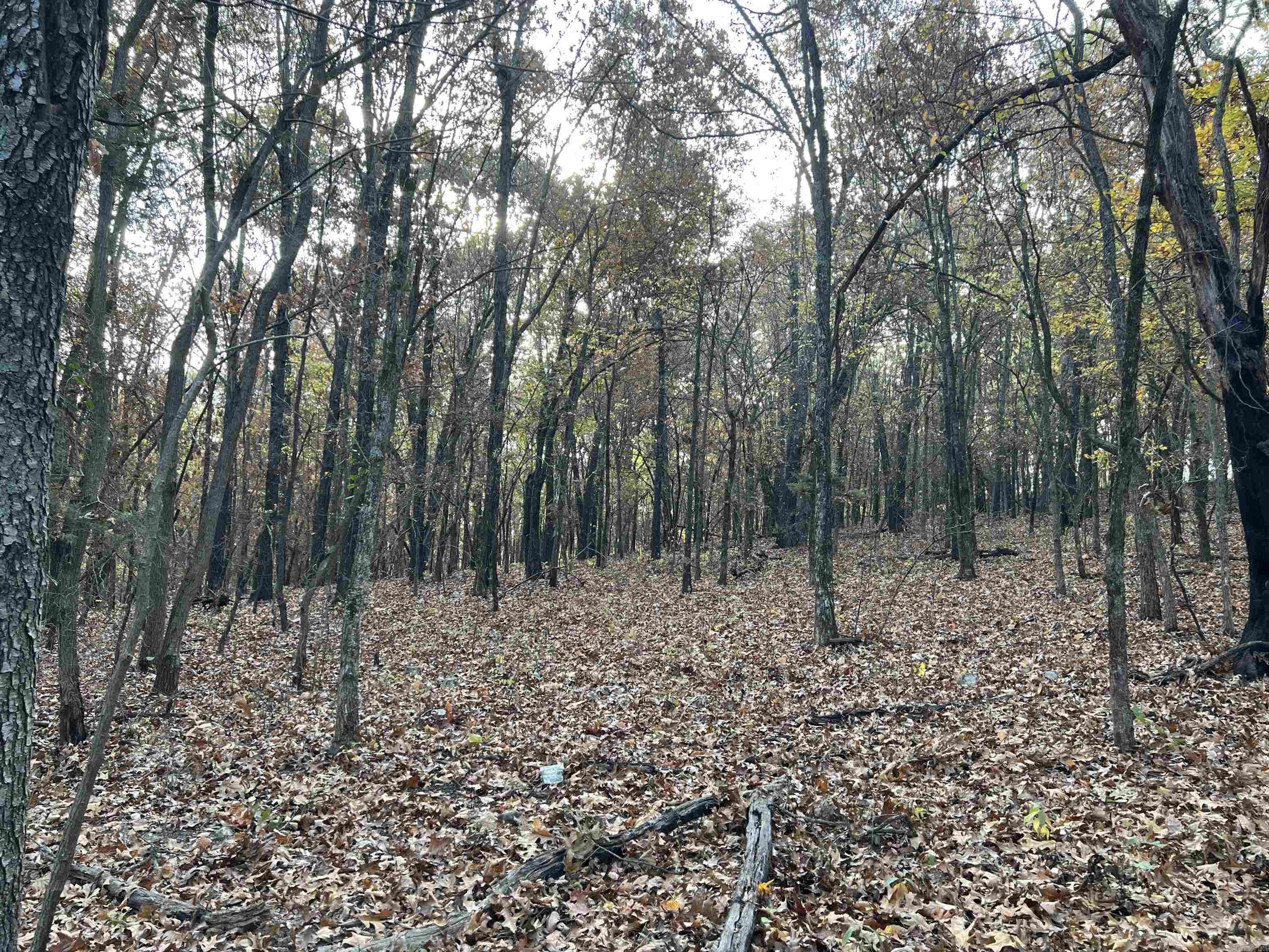 16.33 AC Jackson  Omaha, AR