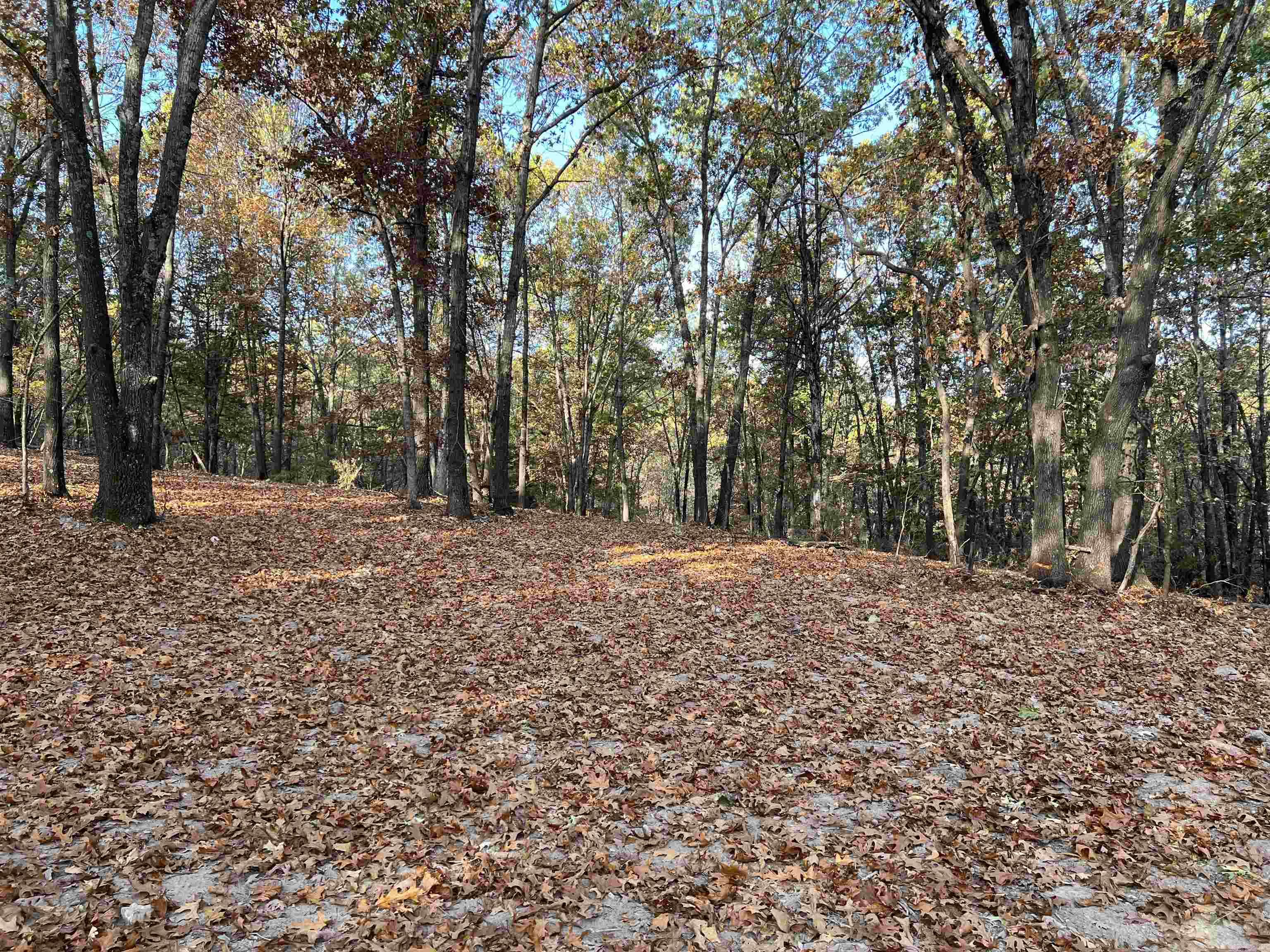 16.33 AC Jackson  Omaha, AR