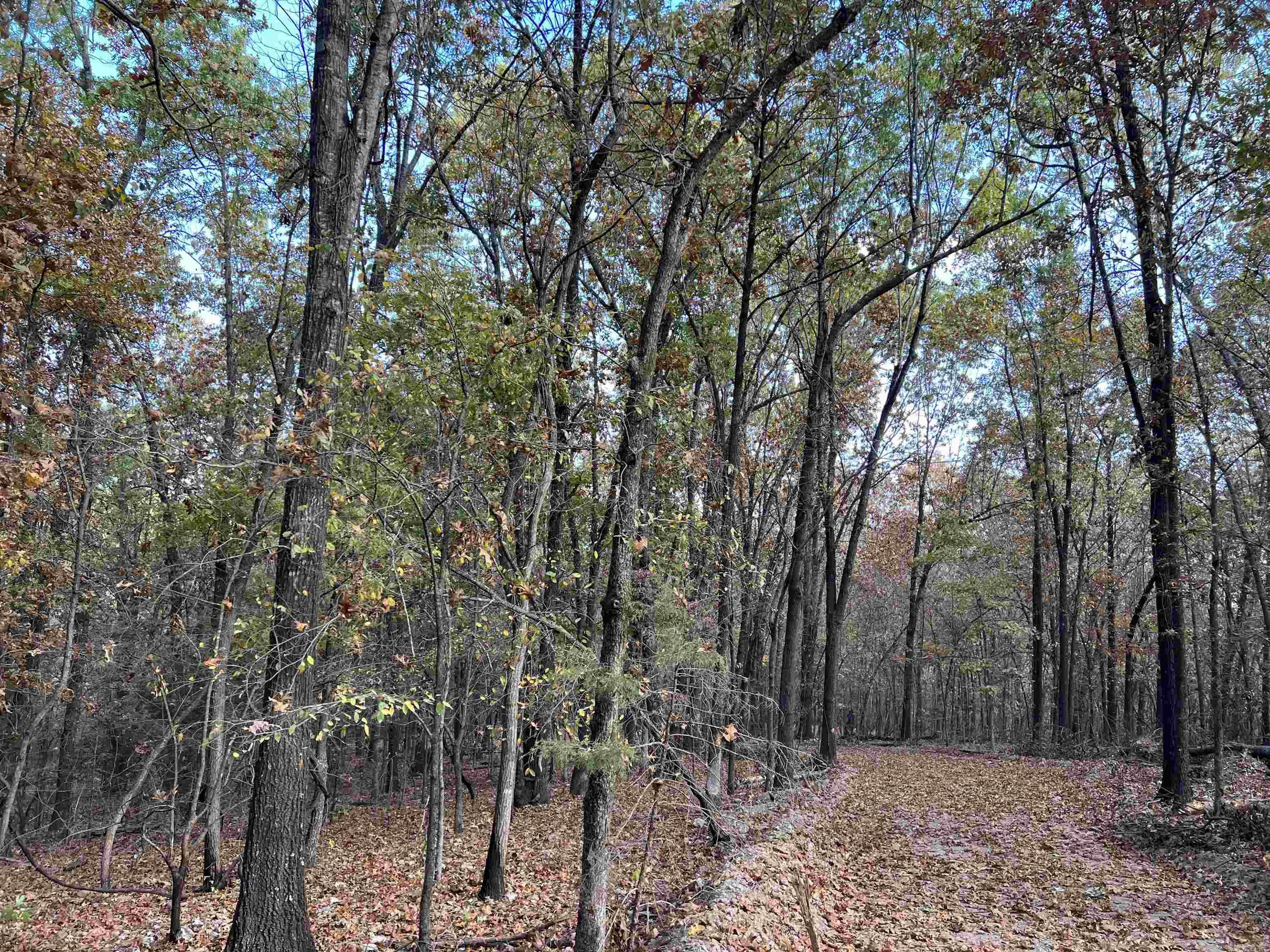 16.33 AC Jackson  Omaha, AR