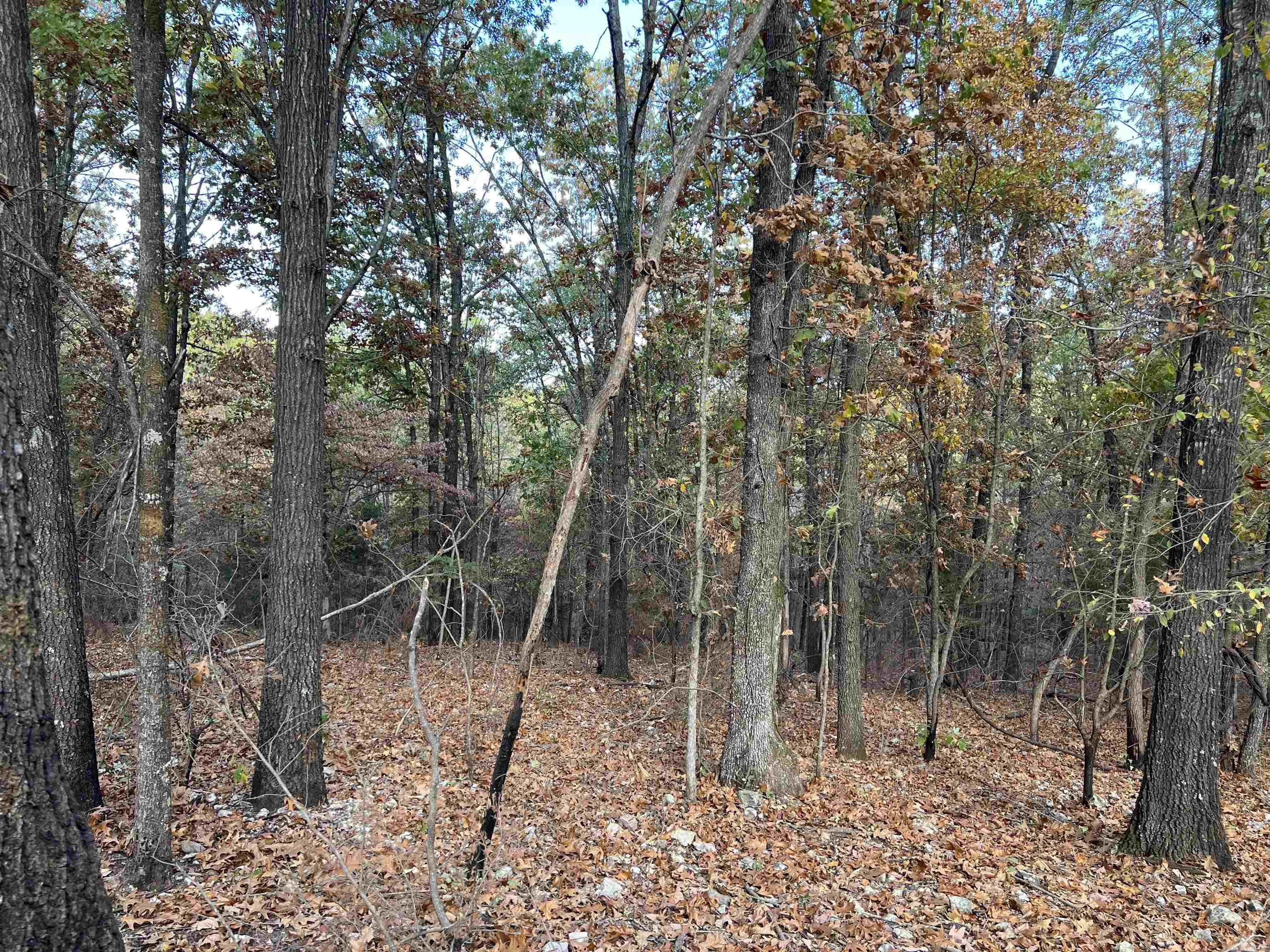 16.33 AC Jackson  Omaha, AR