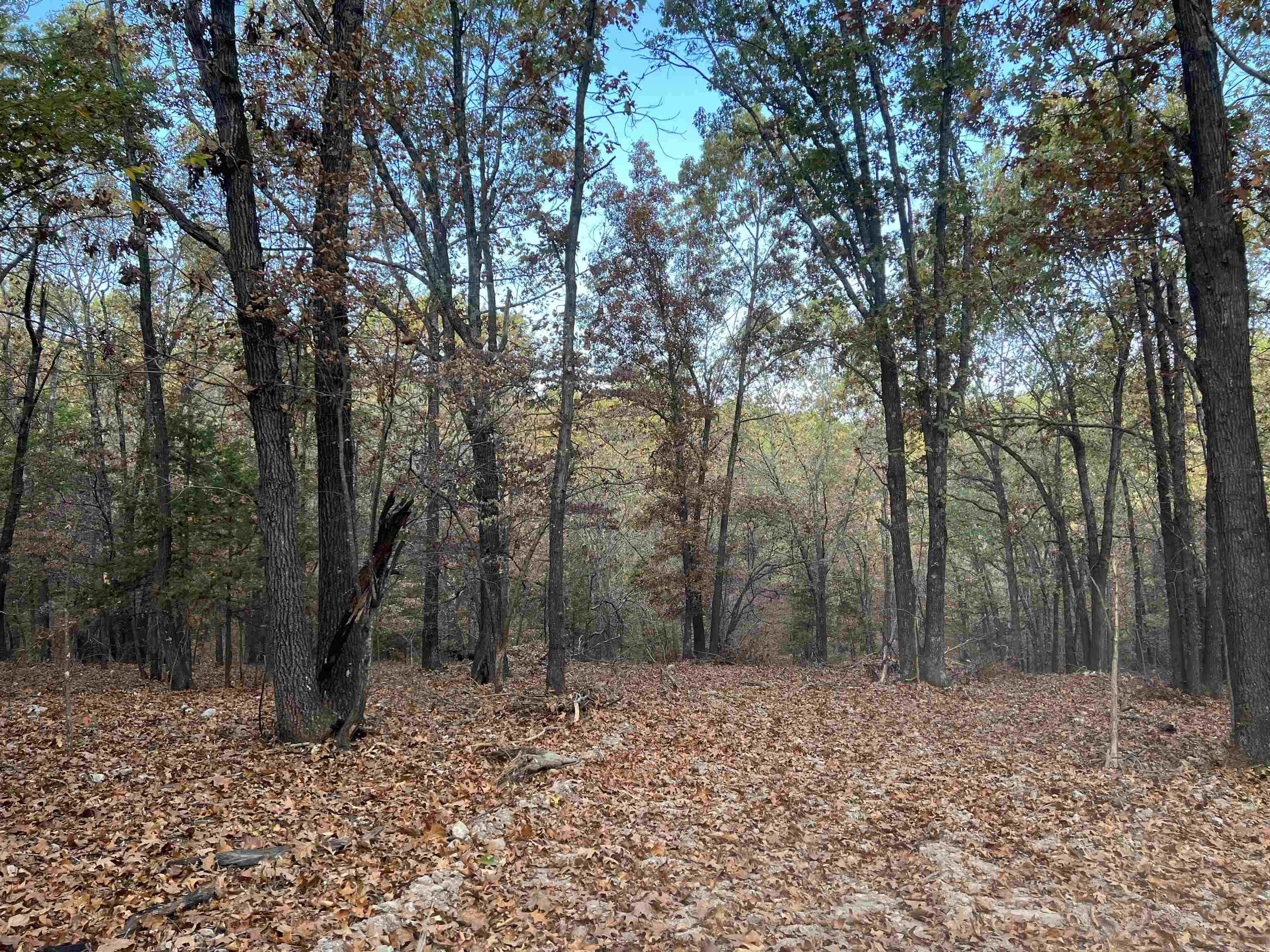 16.33 AC Jackson  Omaha, AR