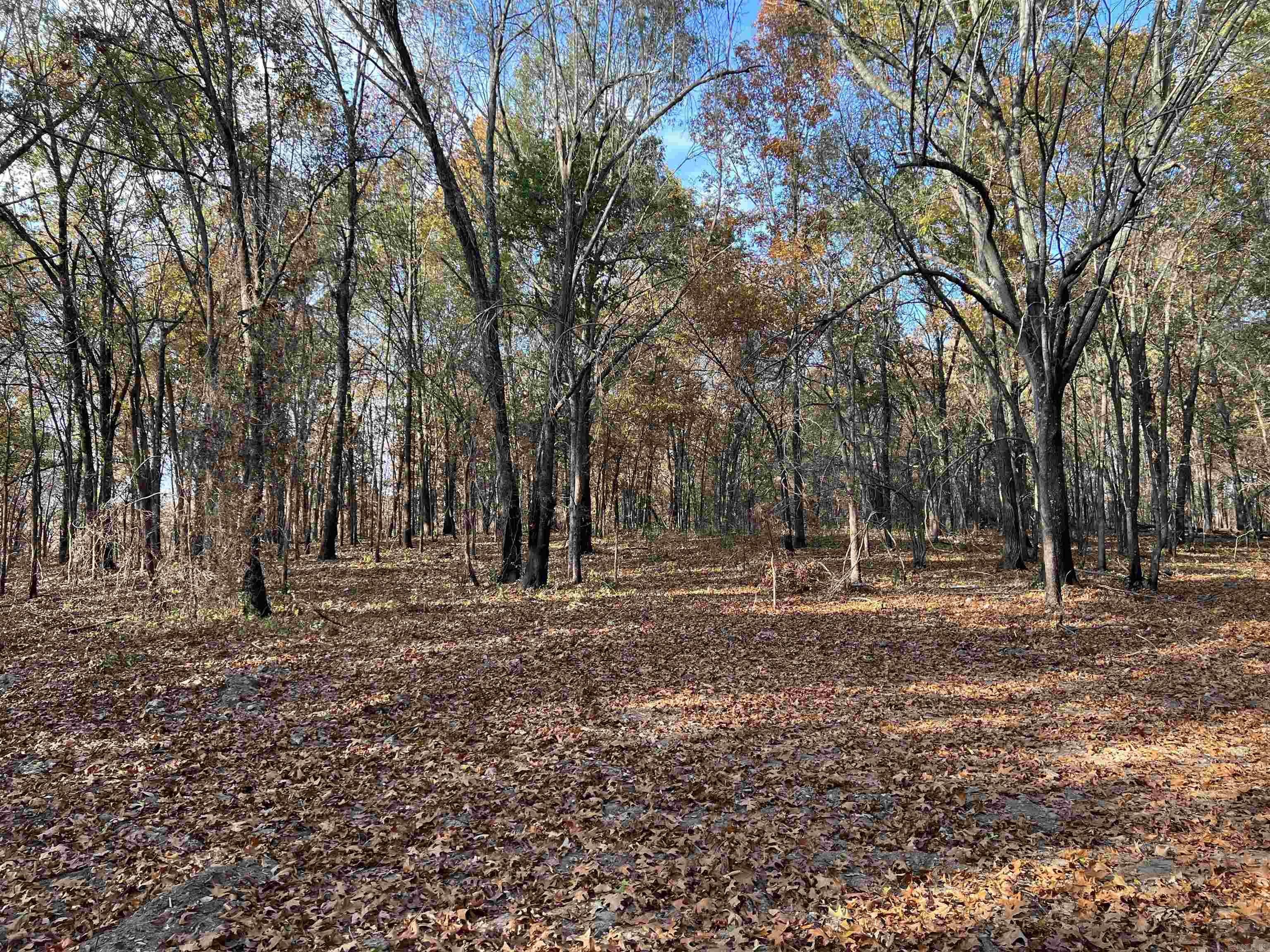 10.61 AC Jackson  Omaha, AR