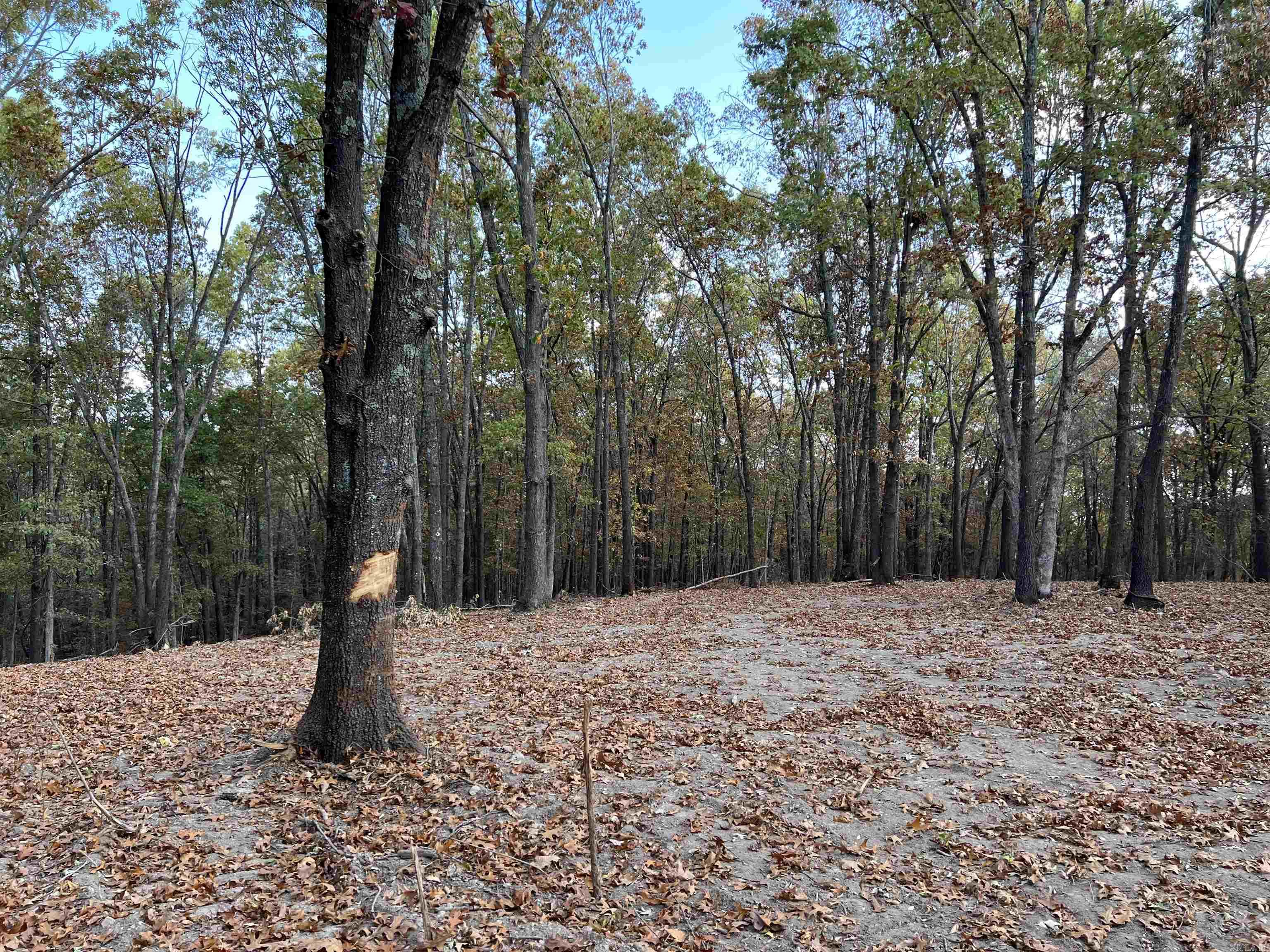 10.61 AC Jackson  Omaha, AR