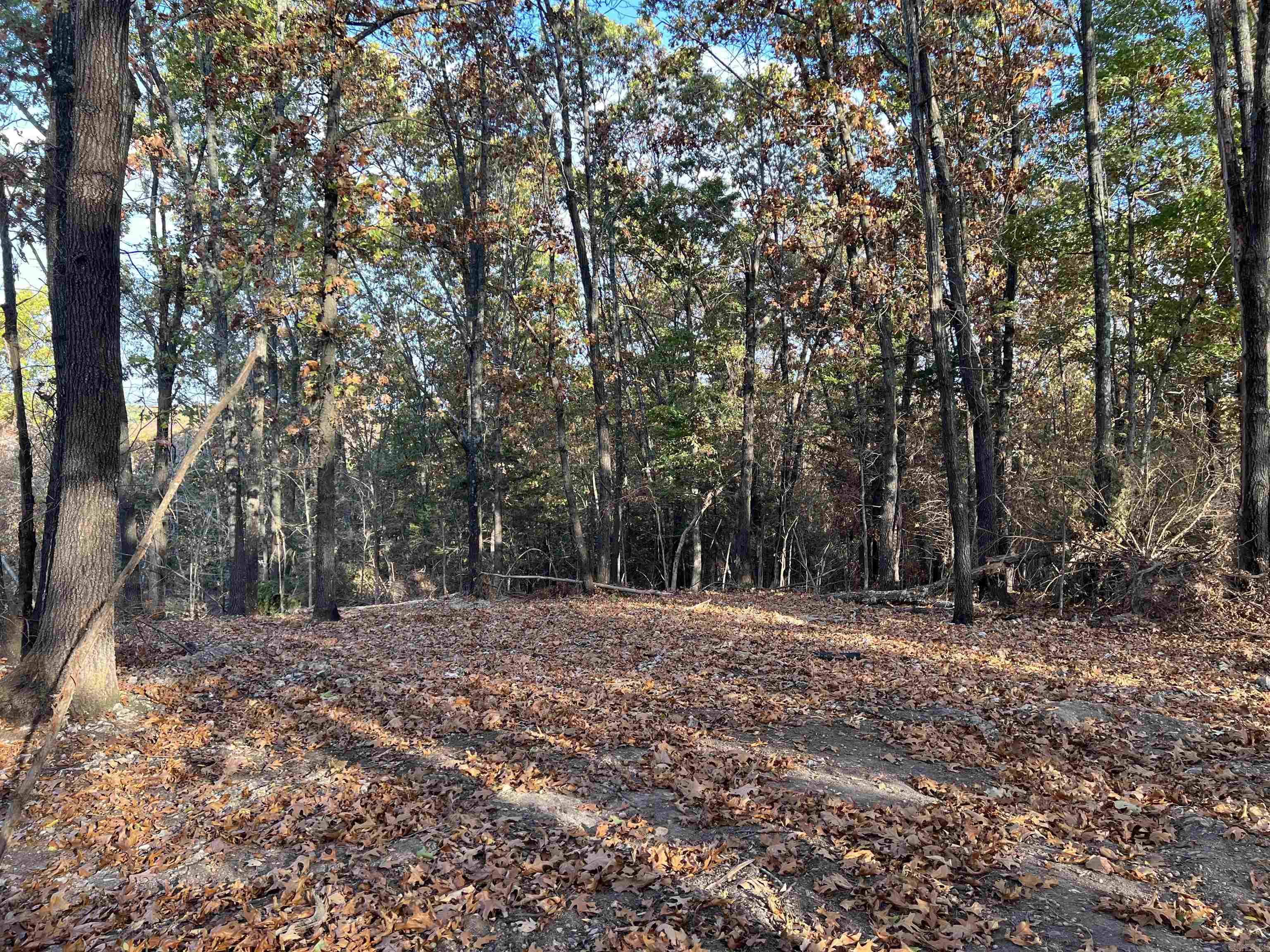 10.51 AC Jackson  Omaha, AR
