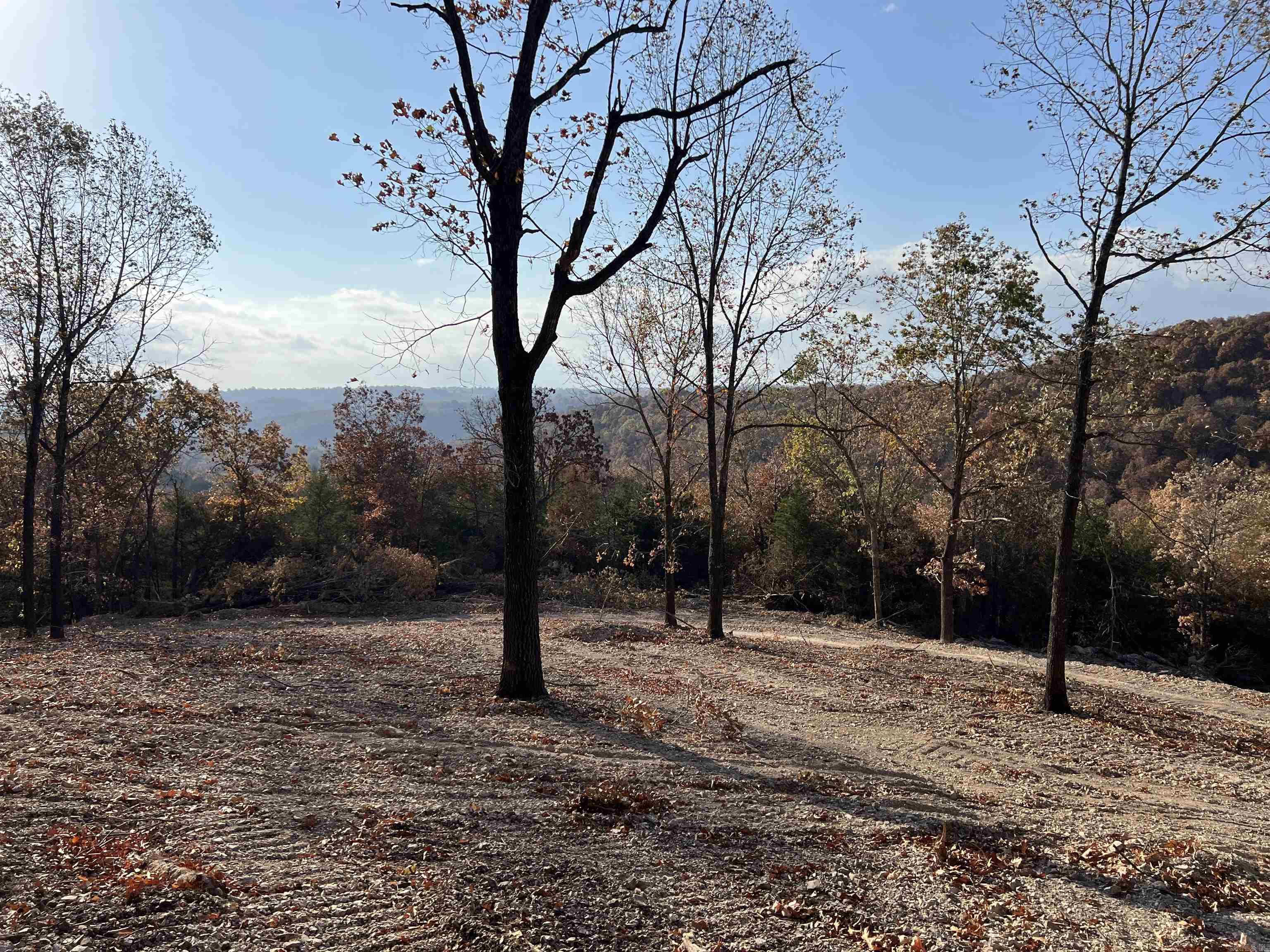 21.73 AC Jackson  Omaha, AR