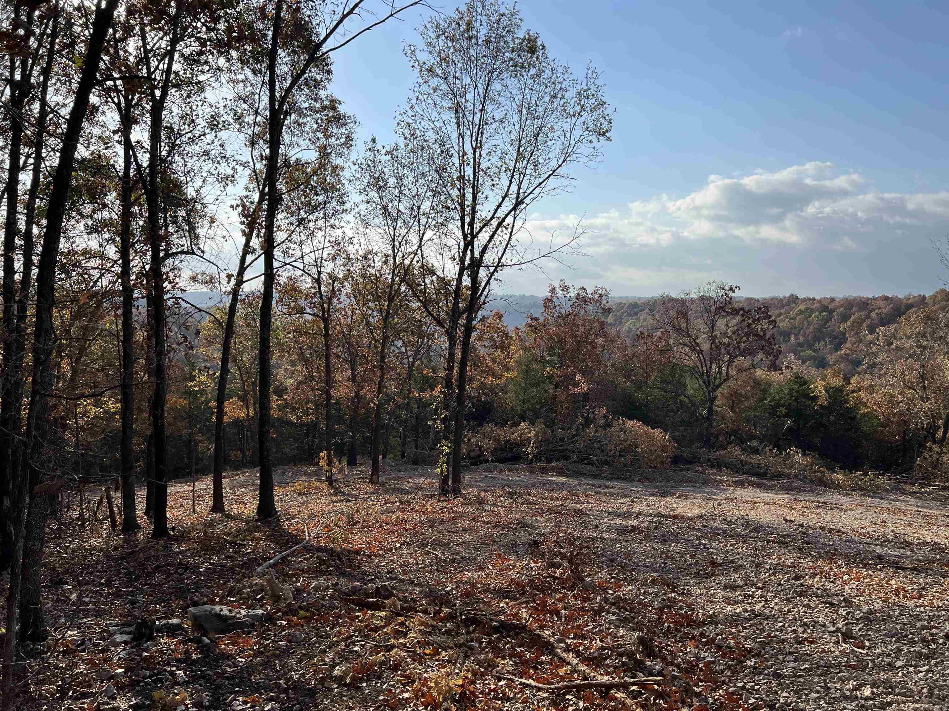 21.73 AC Jackson  Omaha, AR