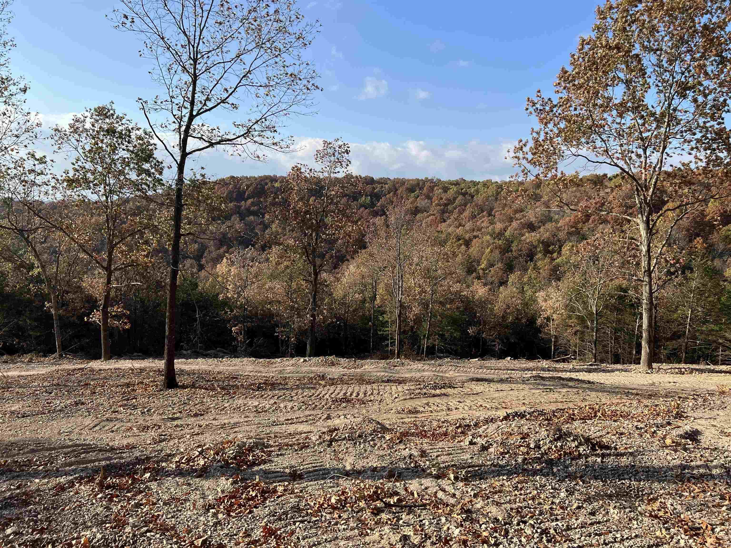 21.73 AC Jackson  Omaha, AR