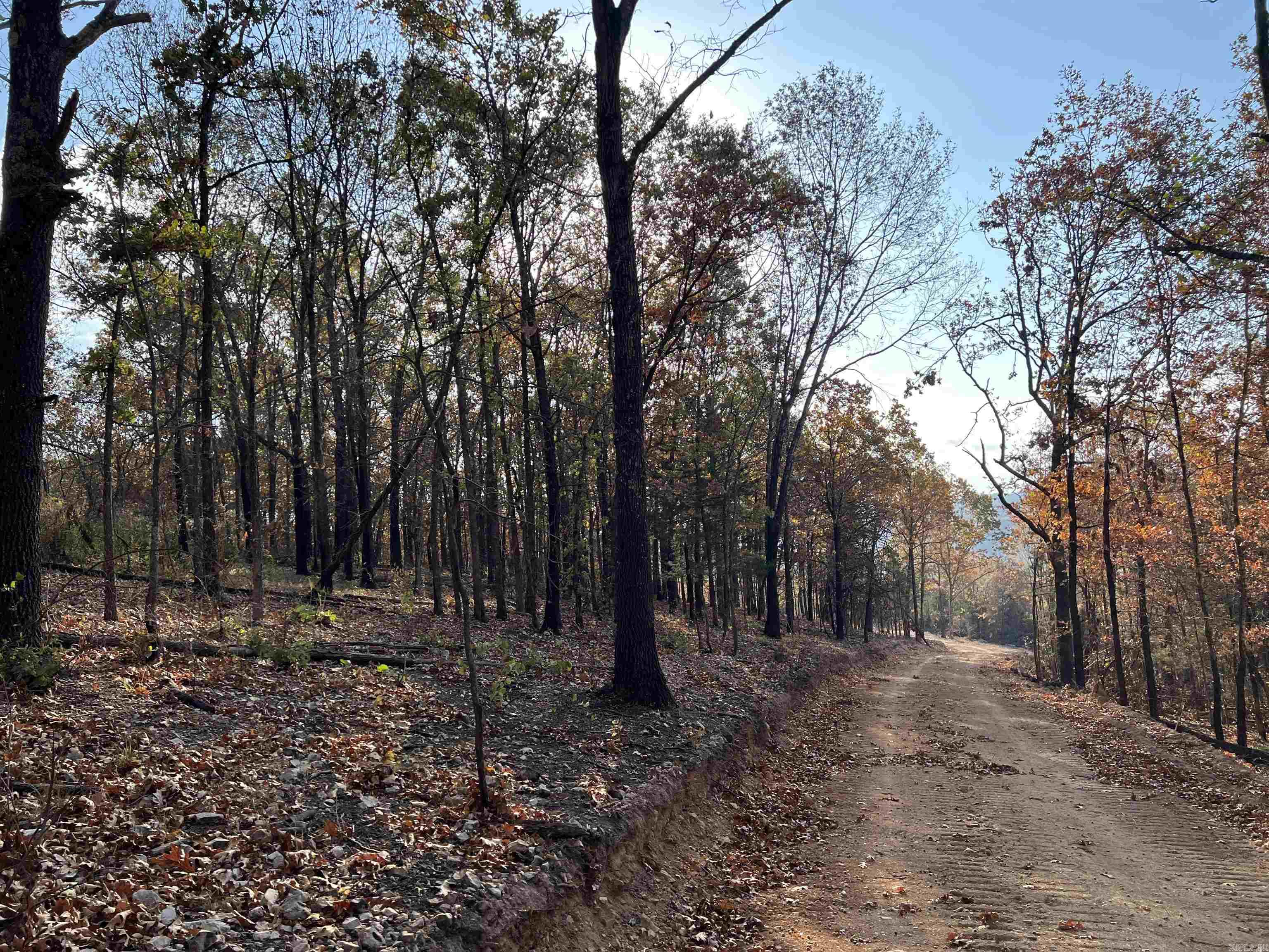 21.73 AC Jackson  Omaha, AR
