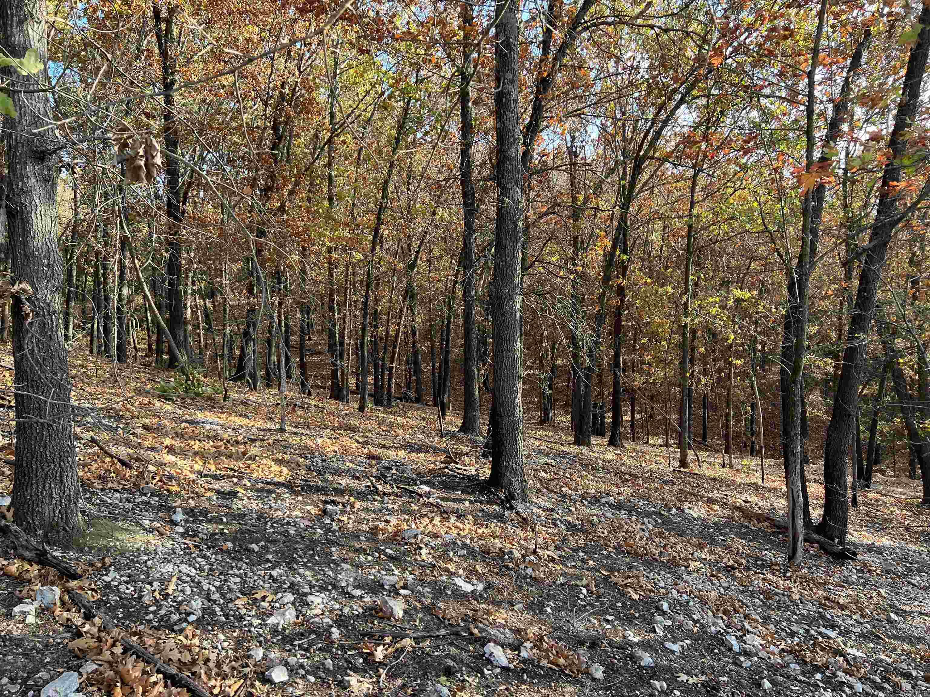 21.73 AC Jackson  Omaha, AR