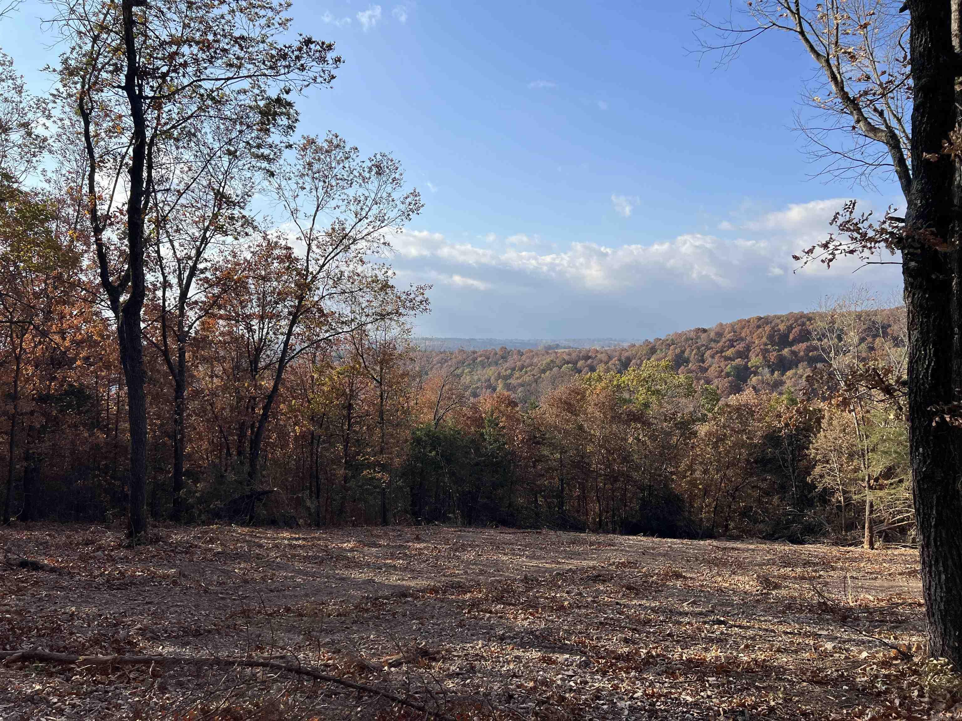 11.00 AC Jackson  Omaha, AR