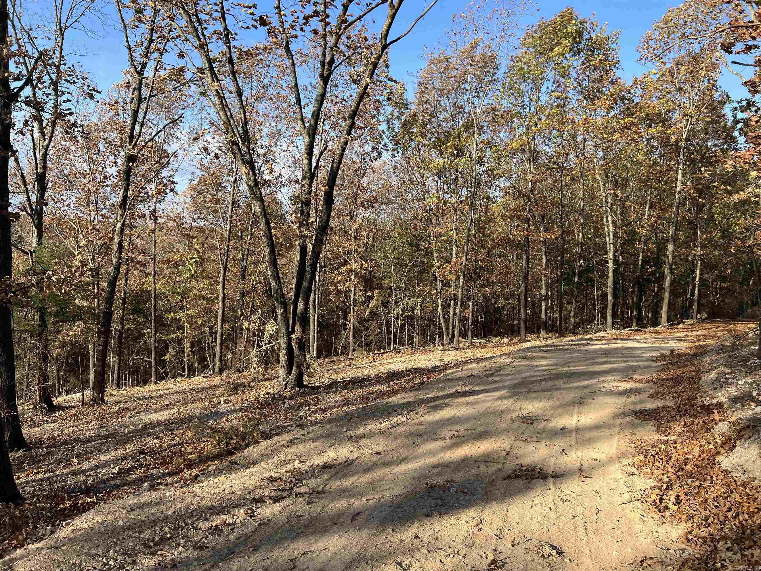 11.00 AC Jackson  Omaha, AR