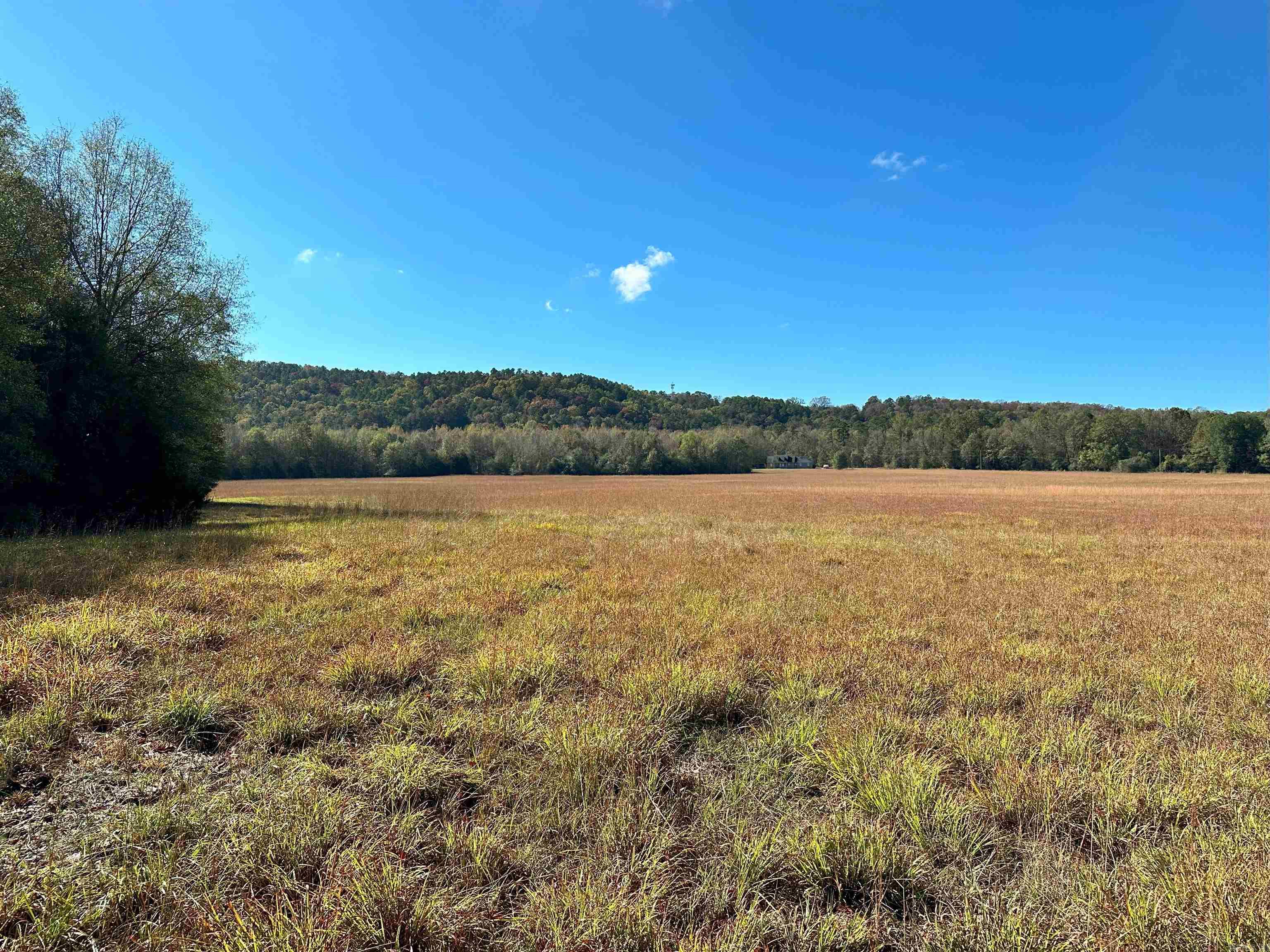 0 Peaceful Valley  Dover, AR