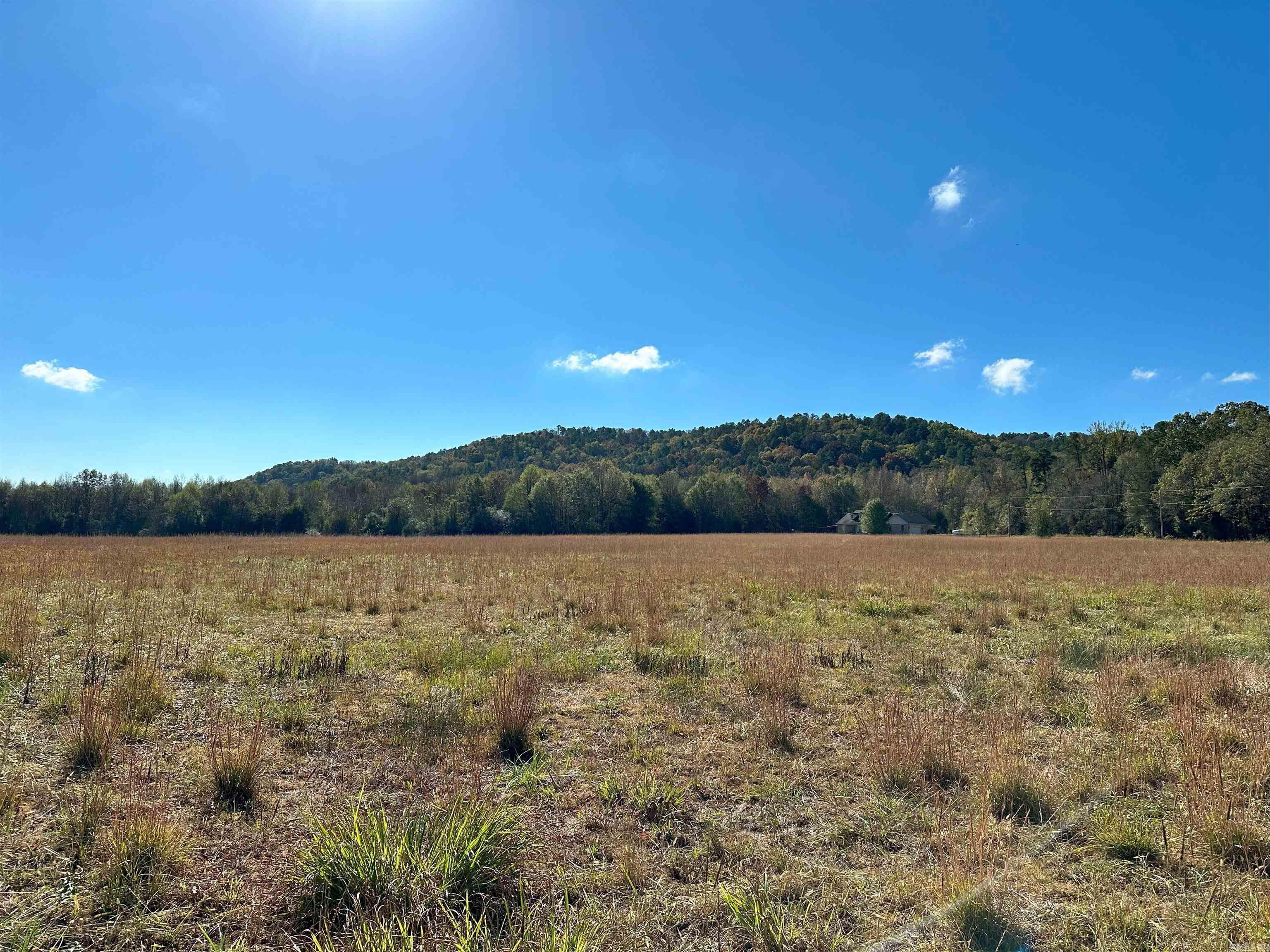 0 Peaceful Valley  Dover, AR